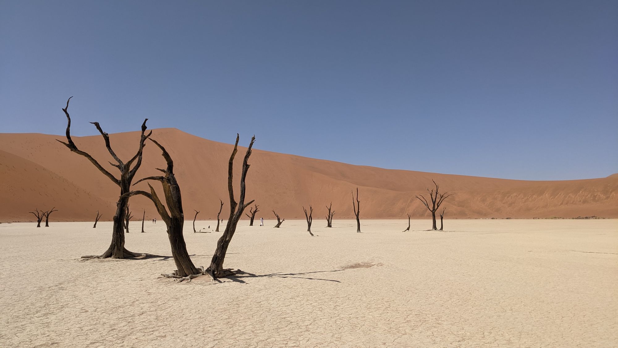 Big Daddy sand dune in Sossulsvlei.