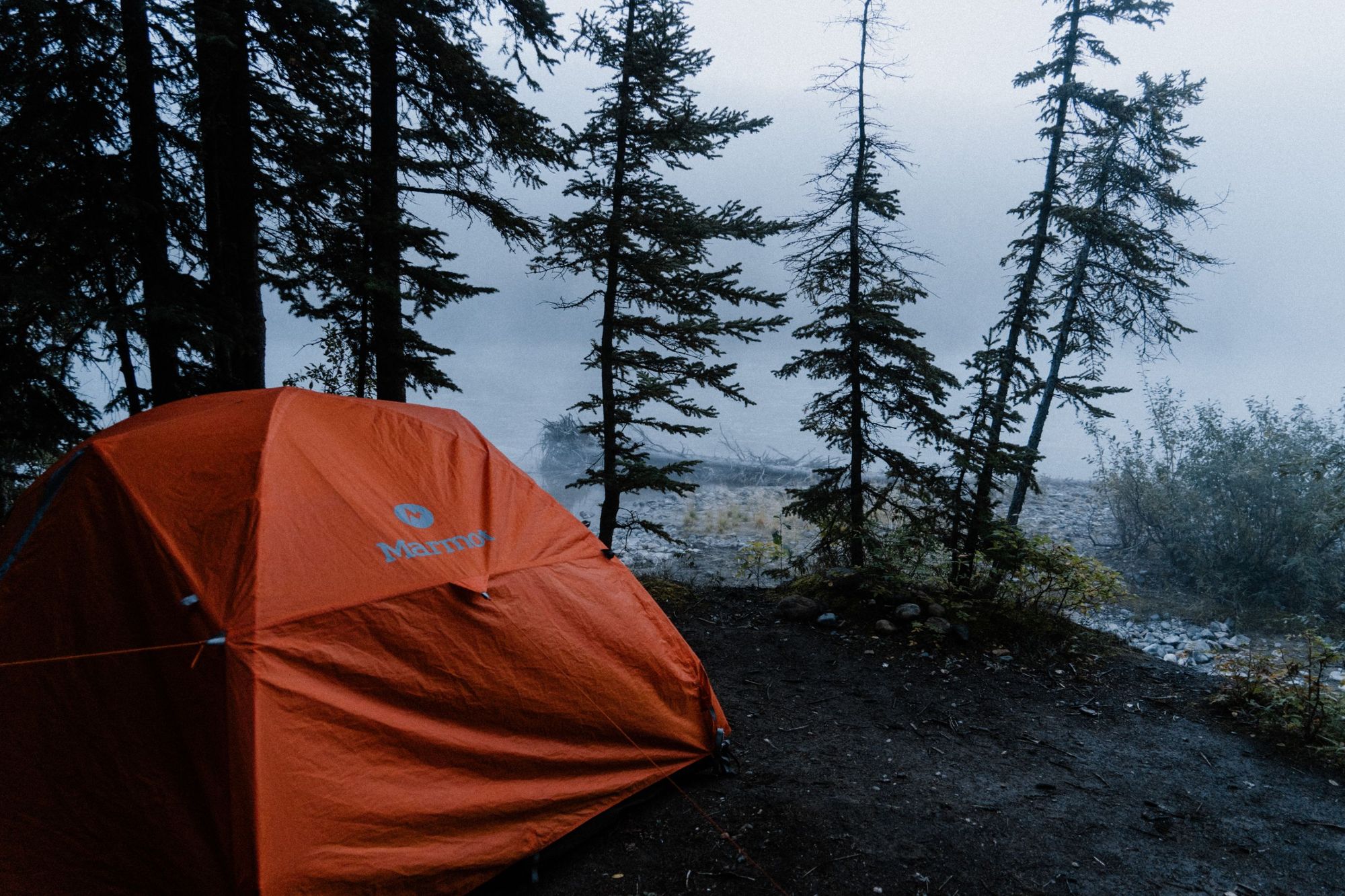 A tent under the shelter of spruce trees in the Yukon, Canada