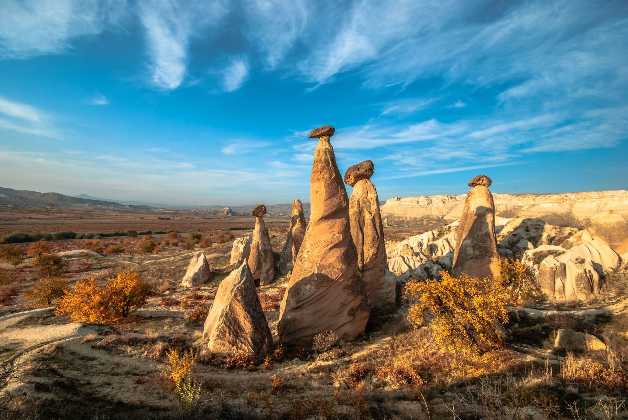 The distinctive mushroom-shaped fairy chimneys of Cappadocia, in Turkey