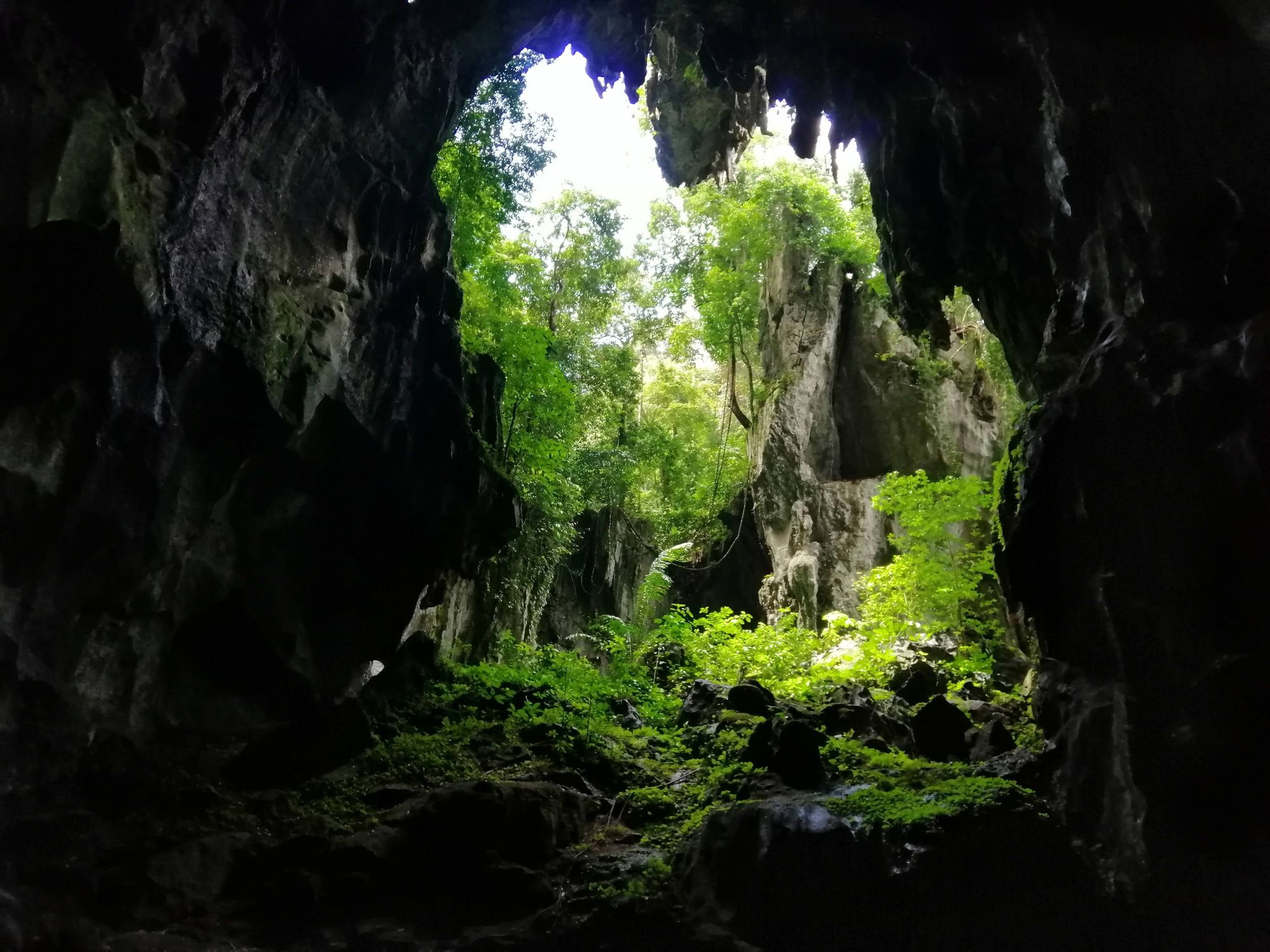 The stunning inside of Silibur Cave, which you can visit along with a local, indigenous guide. Photo: Paradeso Borneo