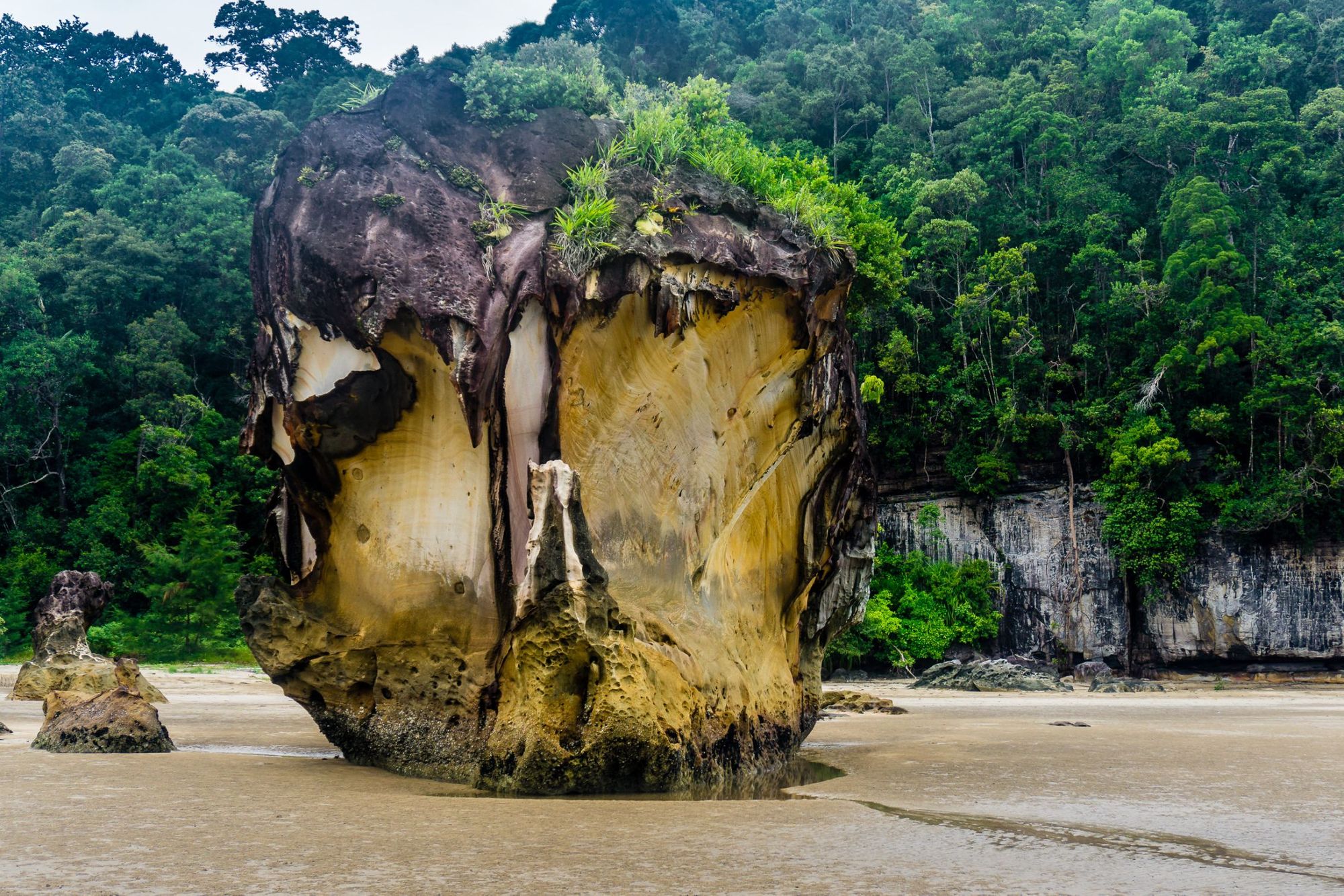 The coastal beauty of Bako National Park, where jungle meets ocean and eroded rock. Photo: Getty