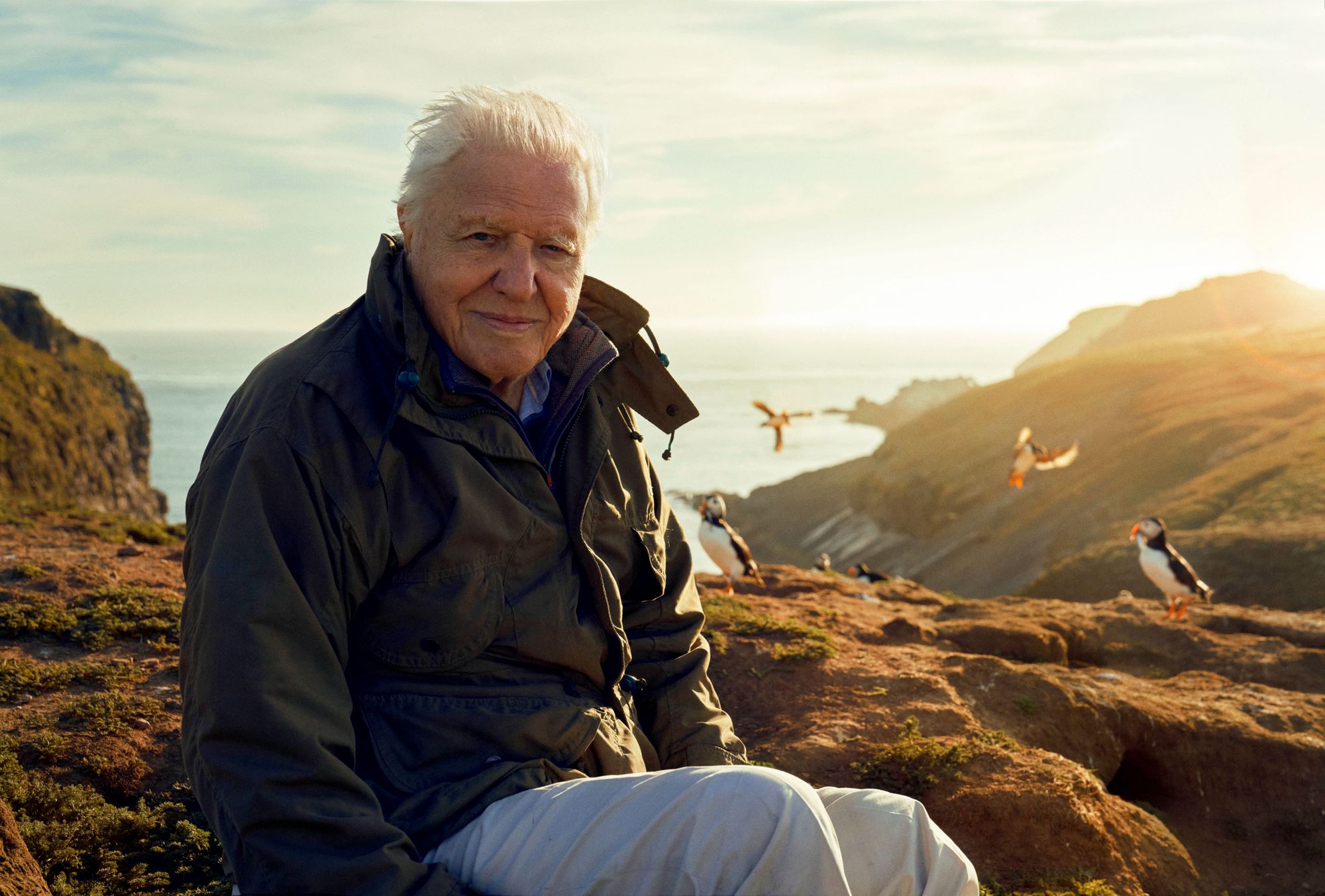 David Attenborough's latest series is called Wild Isles, and features on the nature in Britain and Ireland. Credit:BBC/Silverback Films/Alex Board