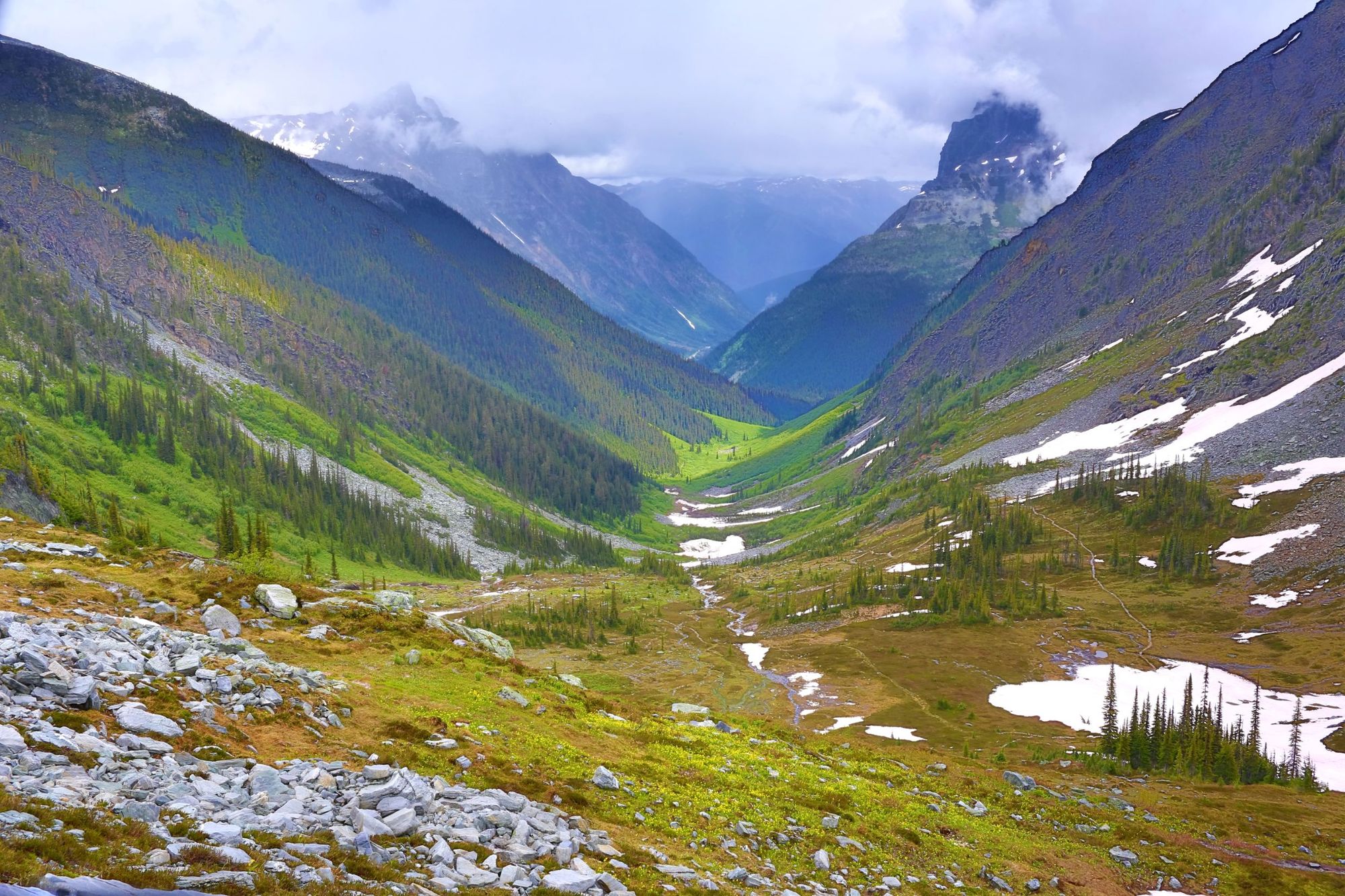 A damp day on the Balu Pass Trail in Glacier National Park. Photo: Getty