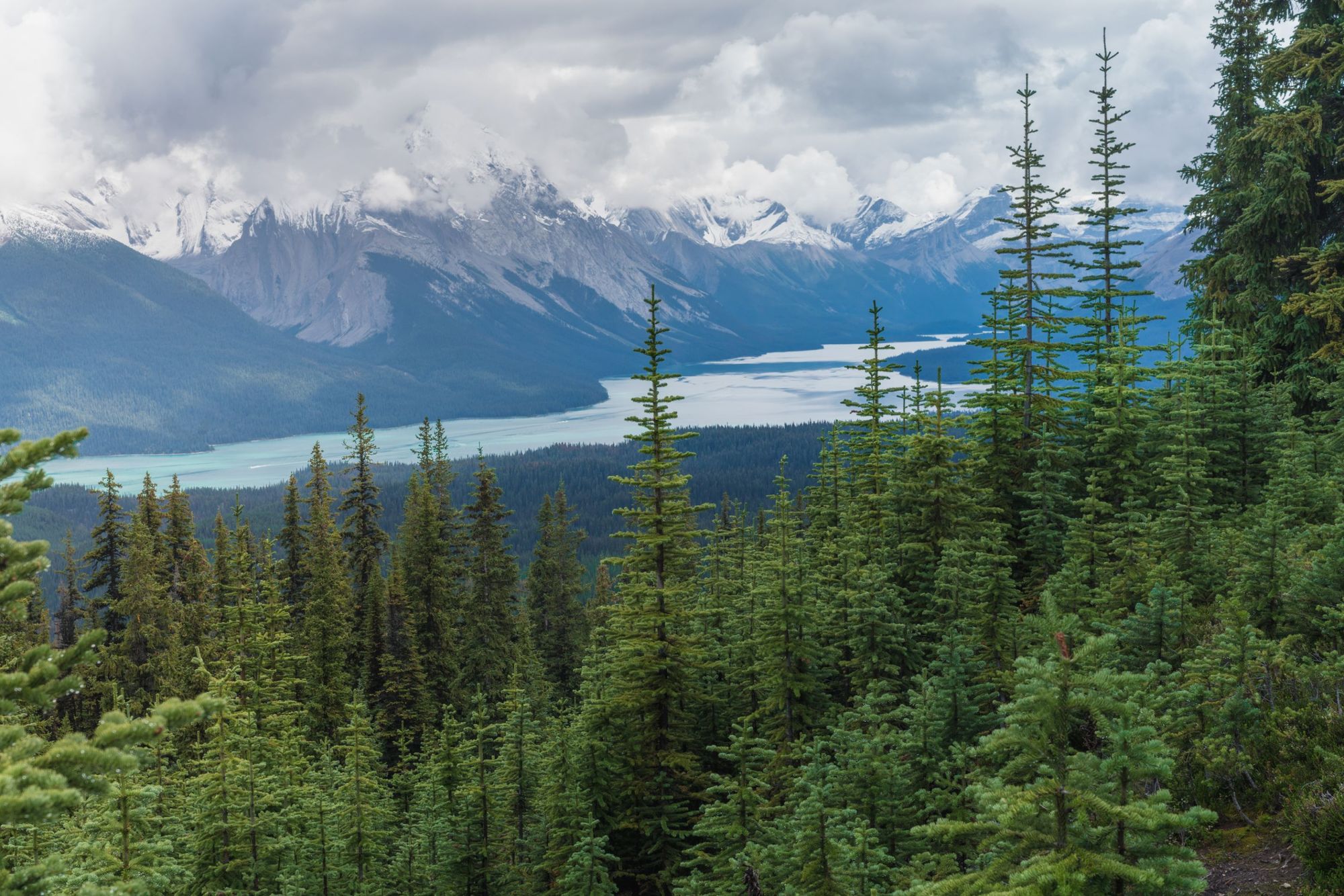 Clouds gathering above the Canadian Rockies. Maligne lake in Jasper, viewed from Bald Hills trail. Photo: Getty