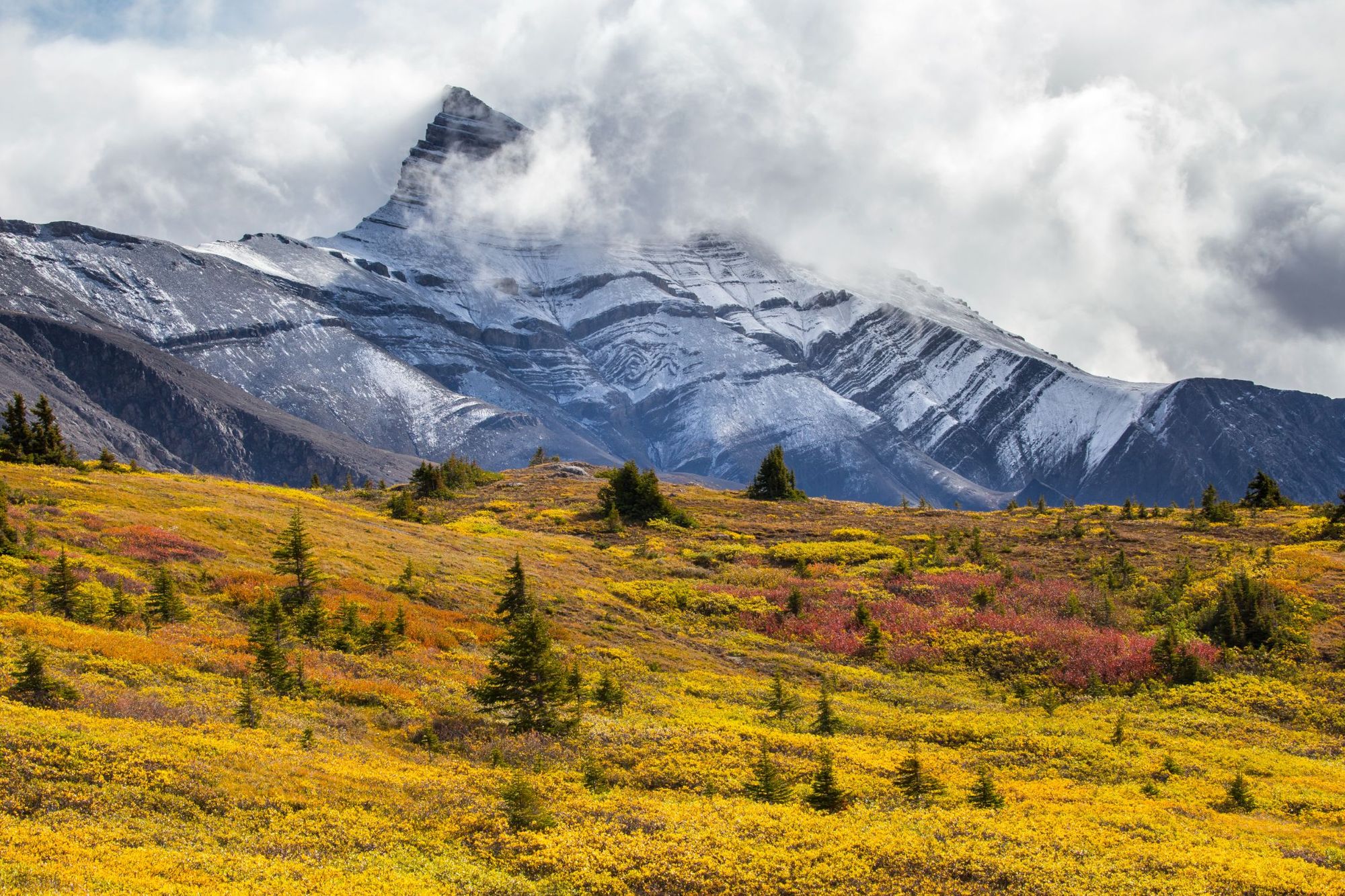 The Autumn tundra on the Wilcox Pass Trail in the Canadian Rockies. Photo: Getty