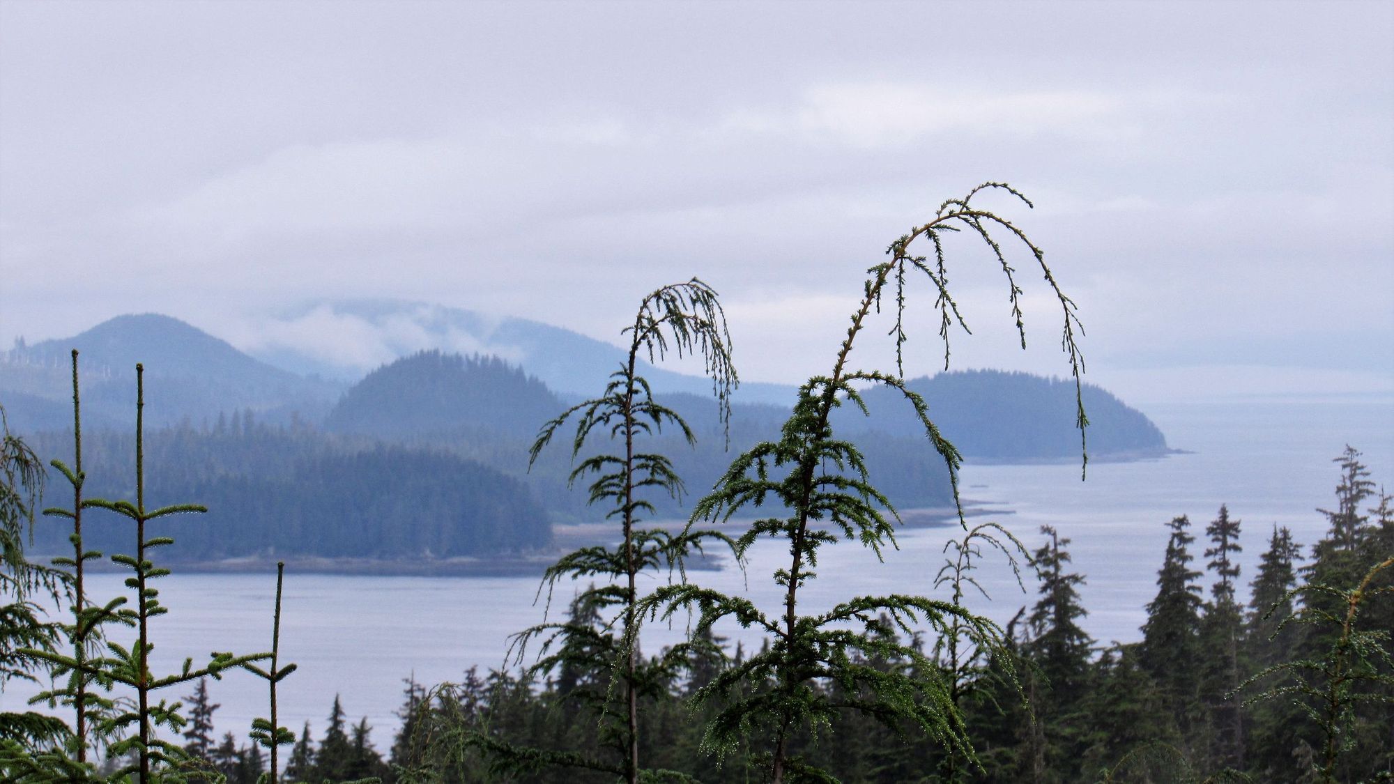 A misty view of Chichagof Island, and Icy Strait, in Alaska