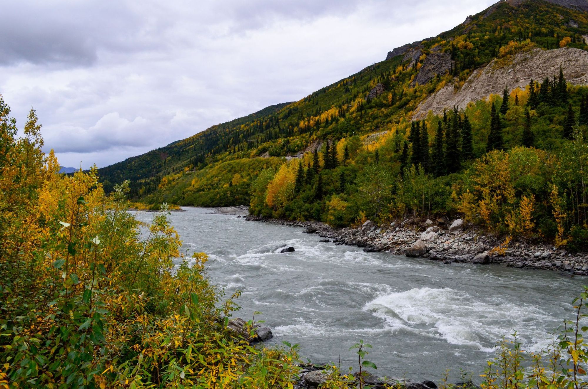 The Nenana River, Alaska, in autumn. 