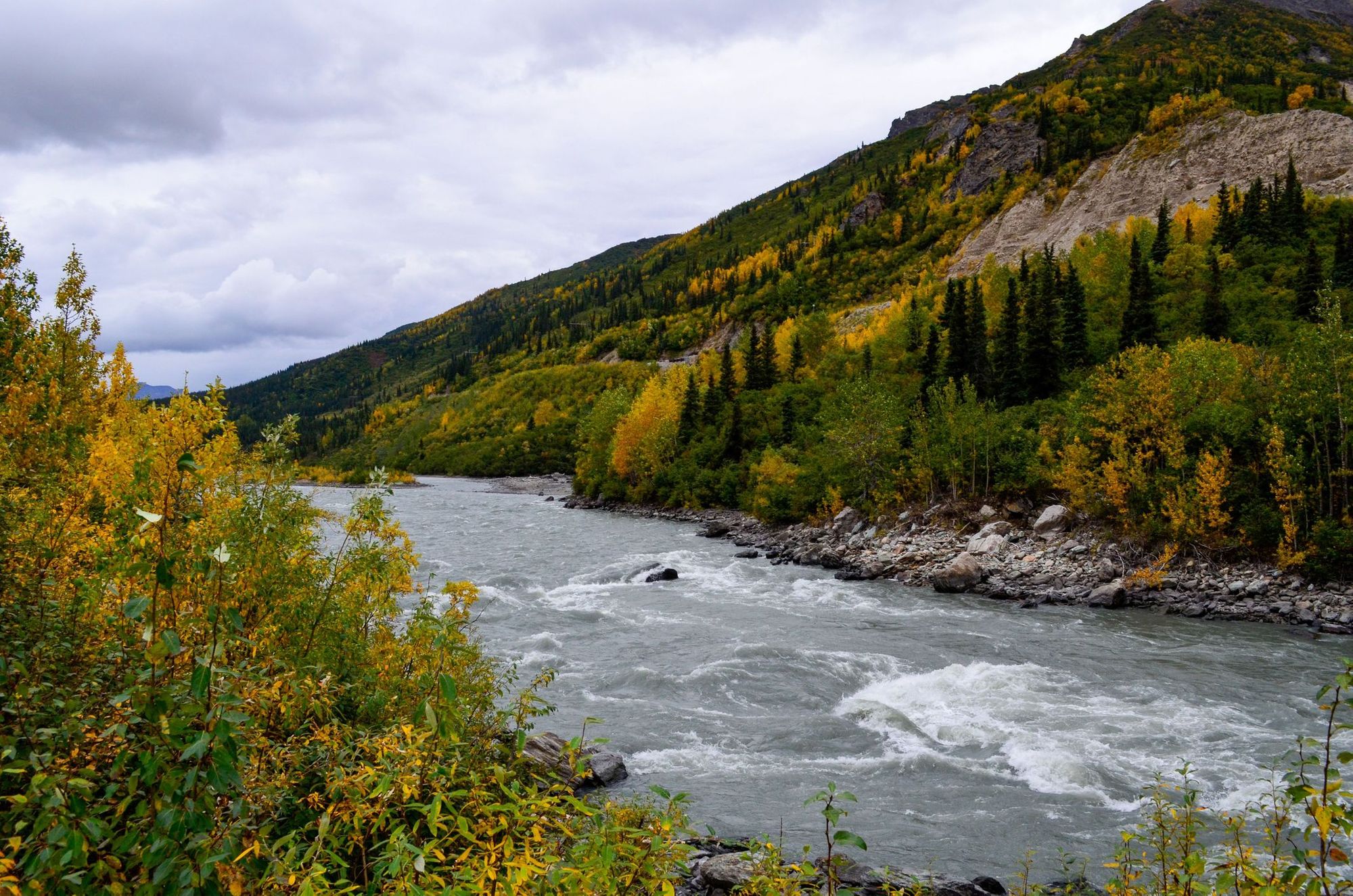 The Nenana River, Alaska, in autumn.