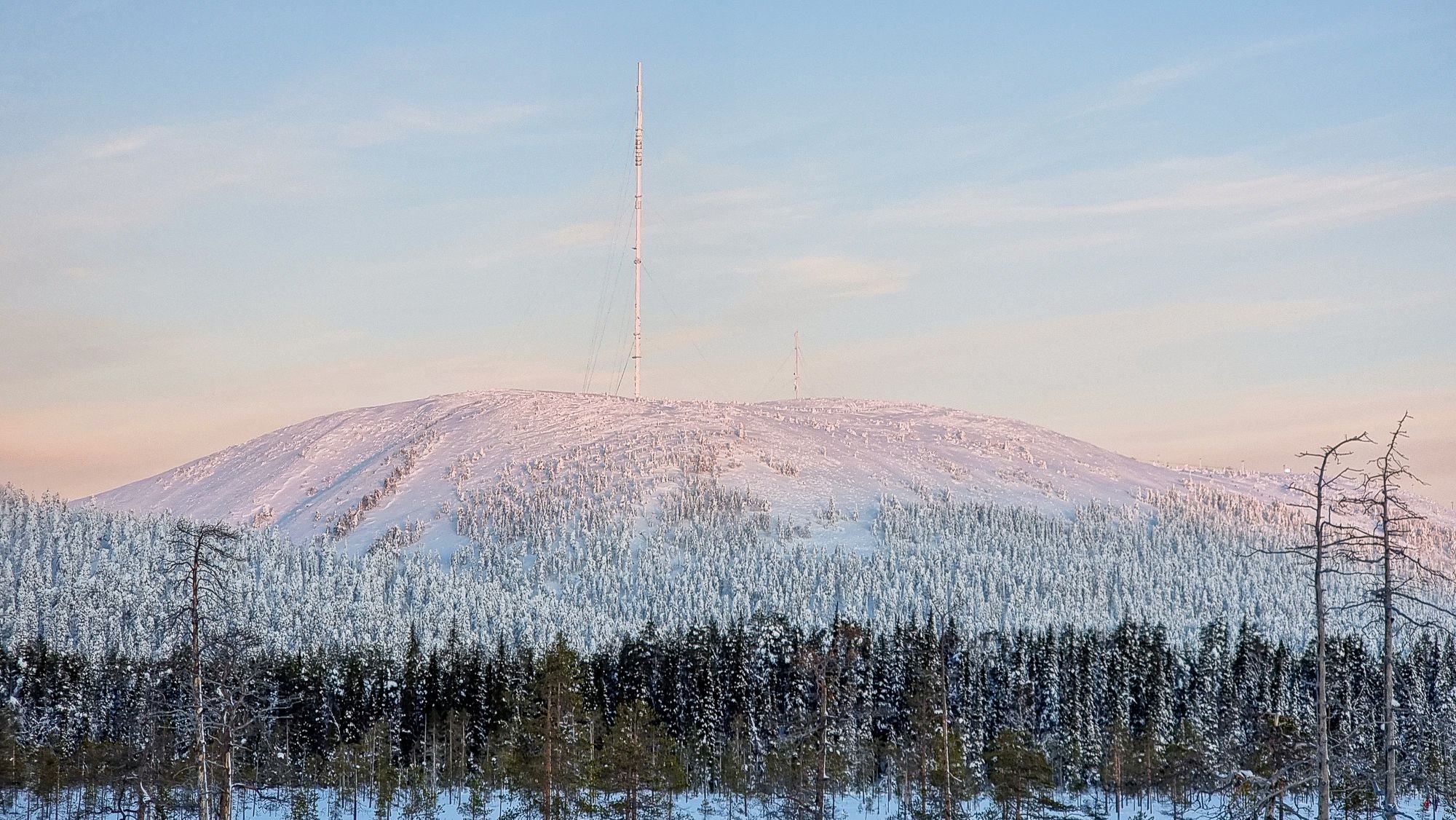 Lapland pine forests covered in snow, Finland.