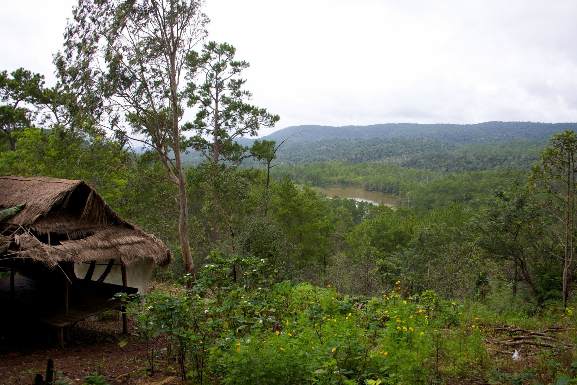 A far-reaching view of the forests on Kirirom Mountain in Cambodia. Photo: Getty