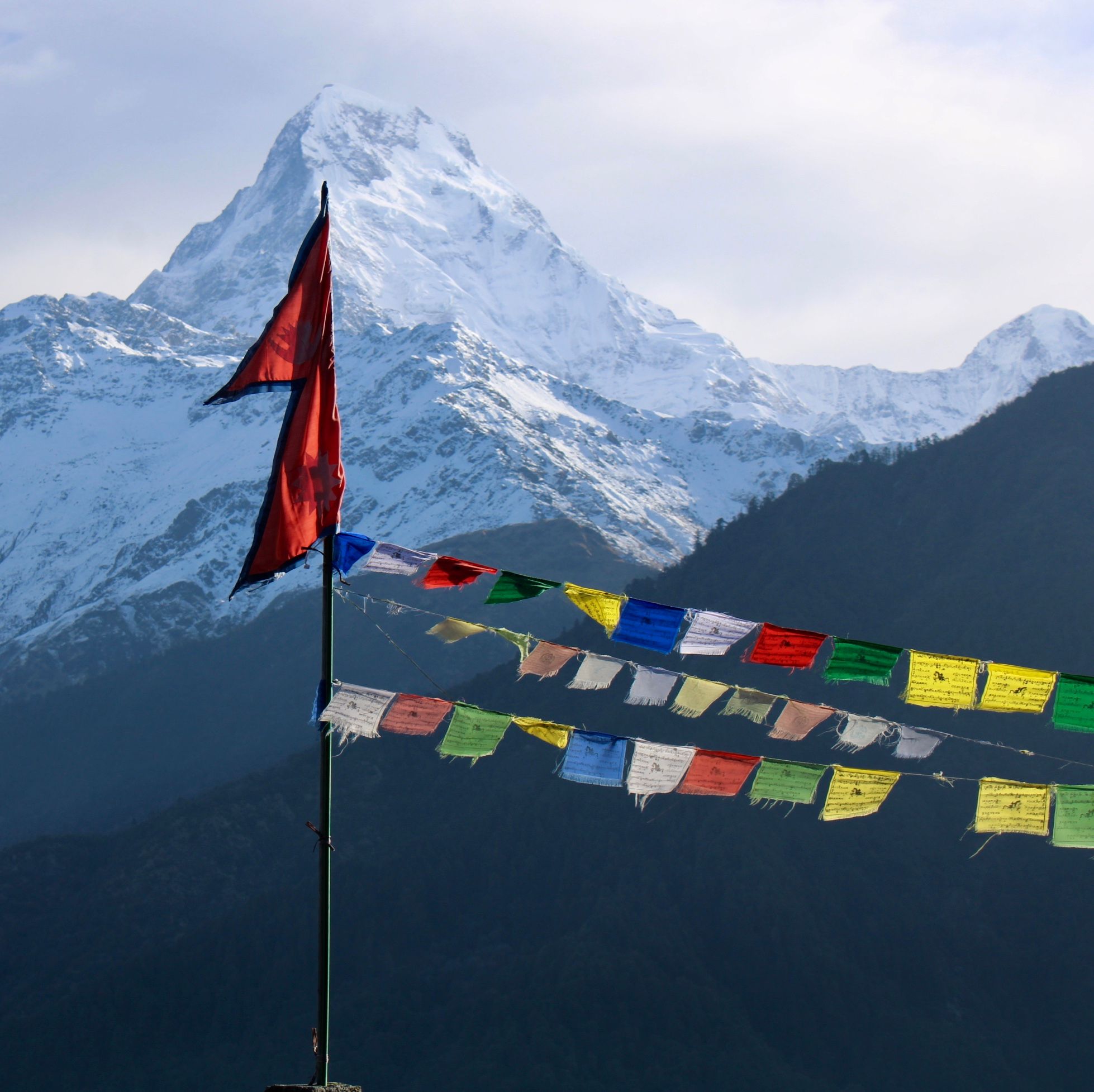 Prayer flags flying in the wind along the Annapurna Sanctuary Route, Nepal.