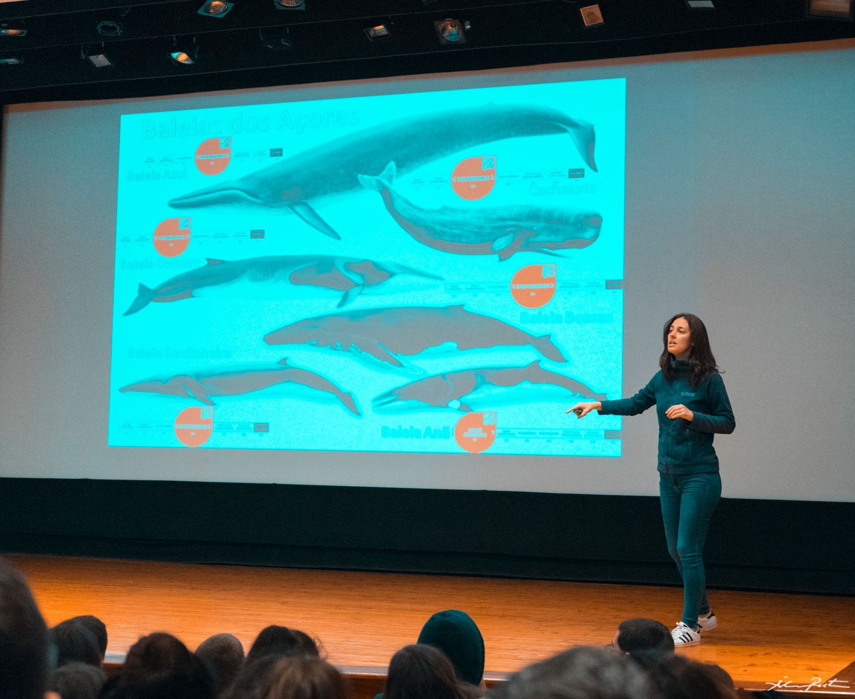 An academic giving a presentation on whales in the Azores.