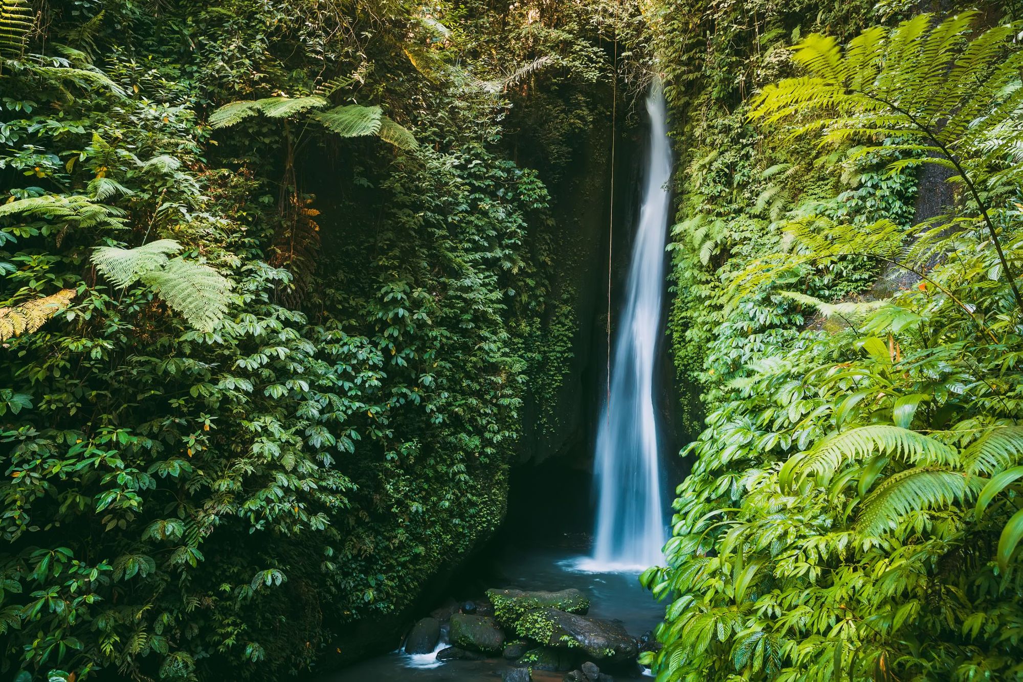 The dry season runs, roughly, from April to September in Bali. Photo: Getty