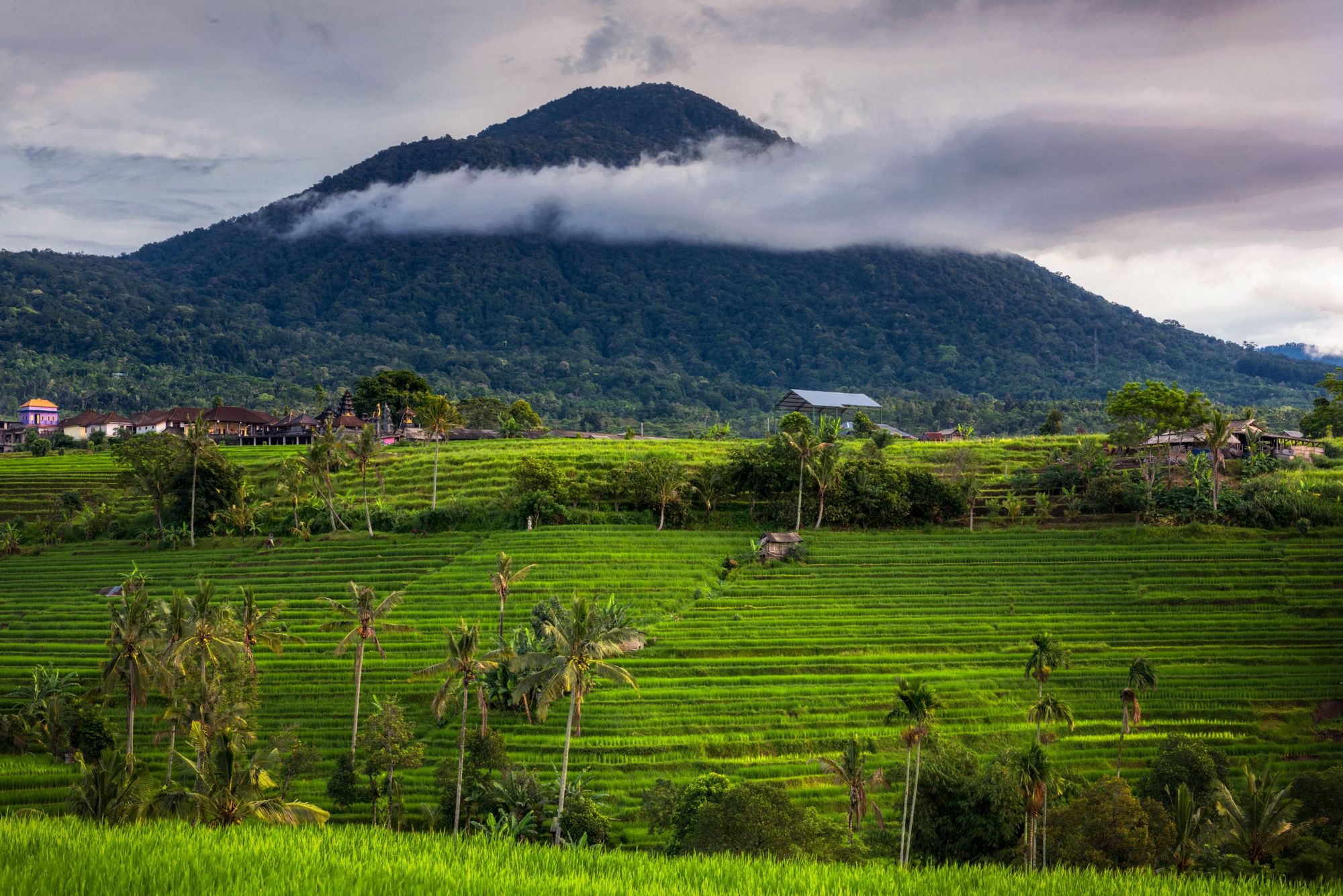The peak of Gunung Batukaru, behind a layer of rice paddies. Photo: Getty