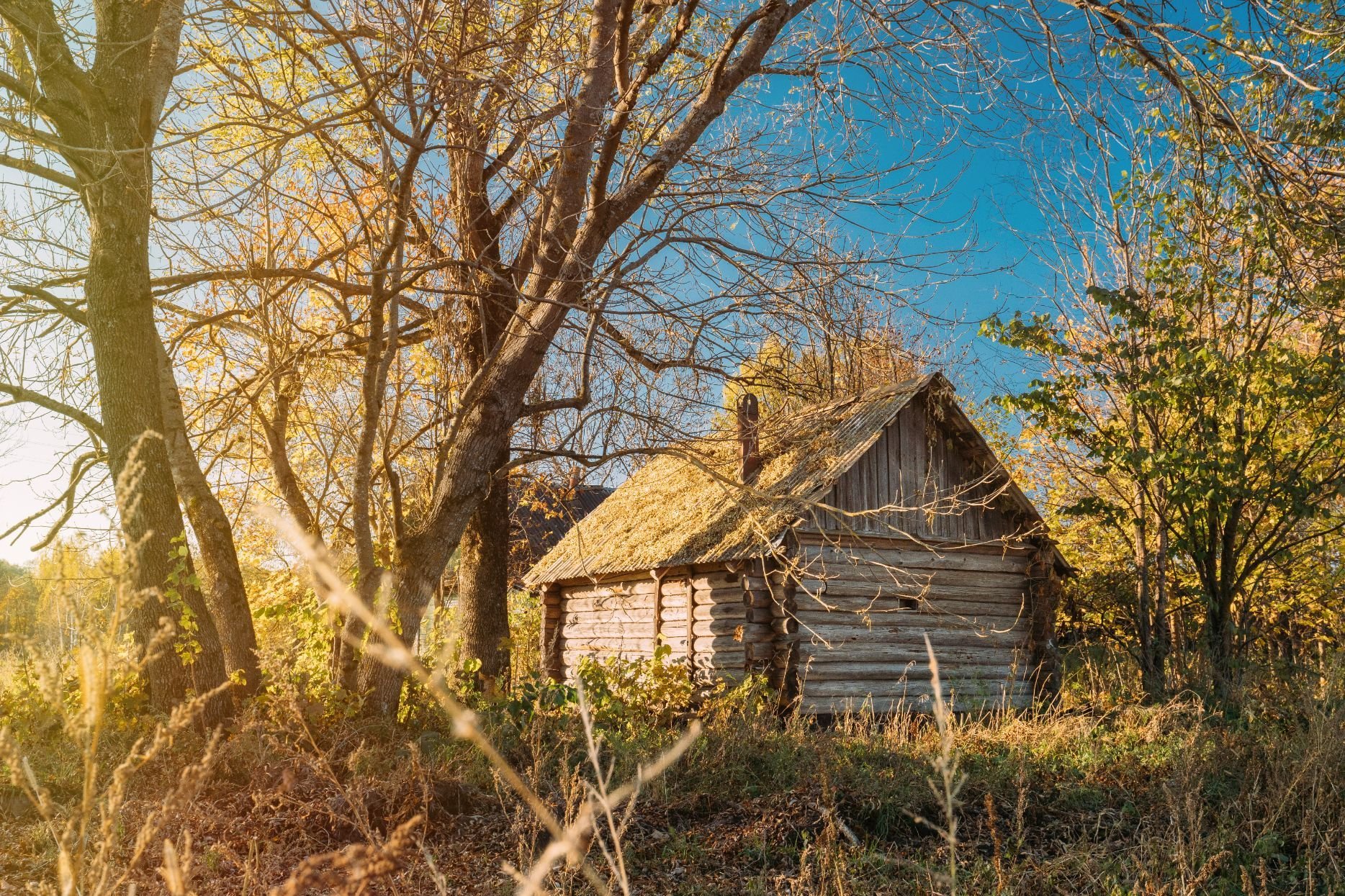 A modern, hand built sauna in rural Estonia, which has a chimney on the roof. Photo: Getty
