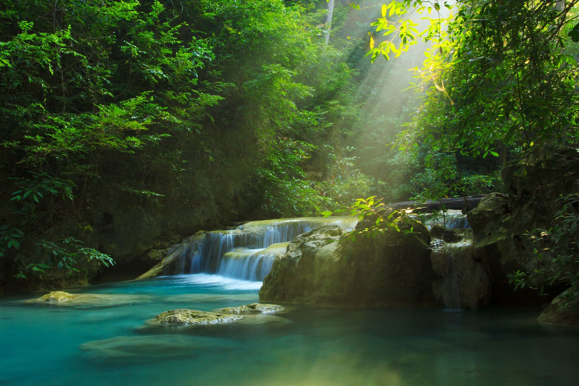 The type of scenery you'll be likely to encounter, if you find the Secret Garden. Photo: Getty