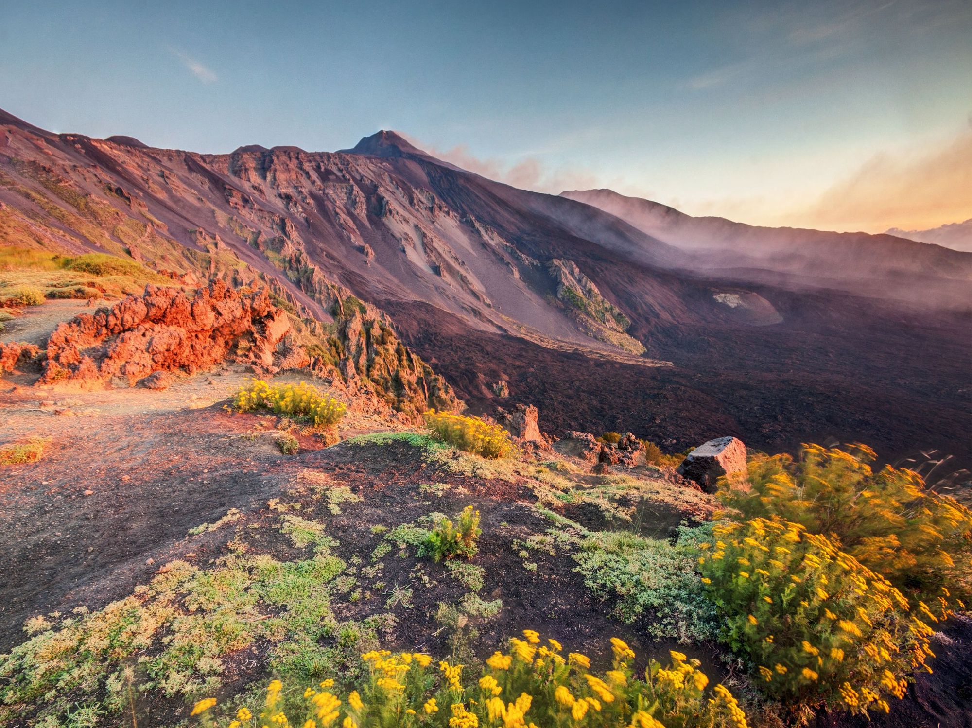 Etna Volcano in Sicily, with colourful flowers blooming in the foreground, on the rich soil. Photo: Getty