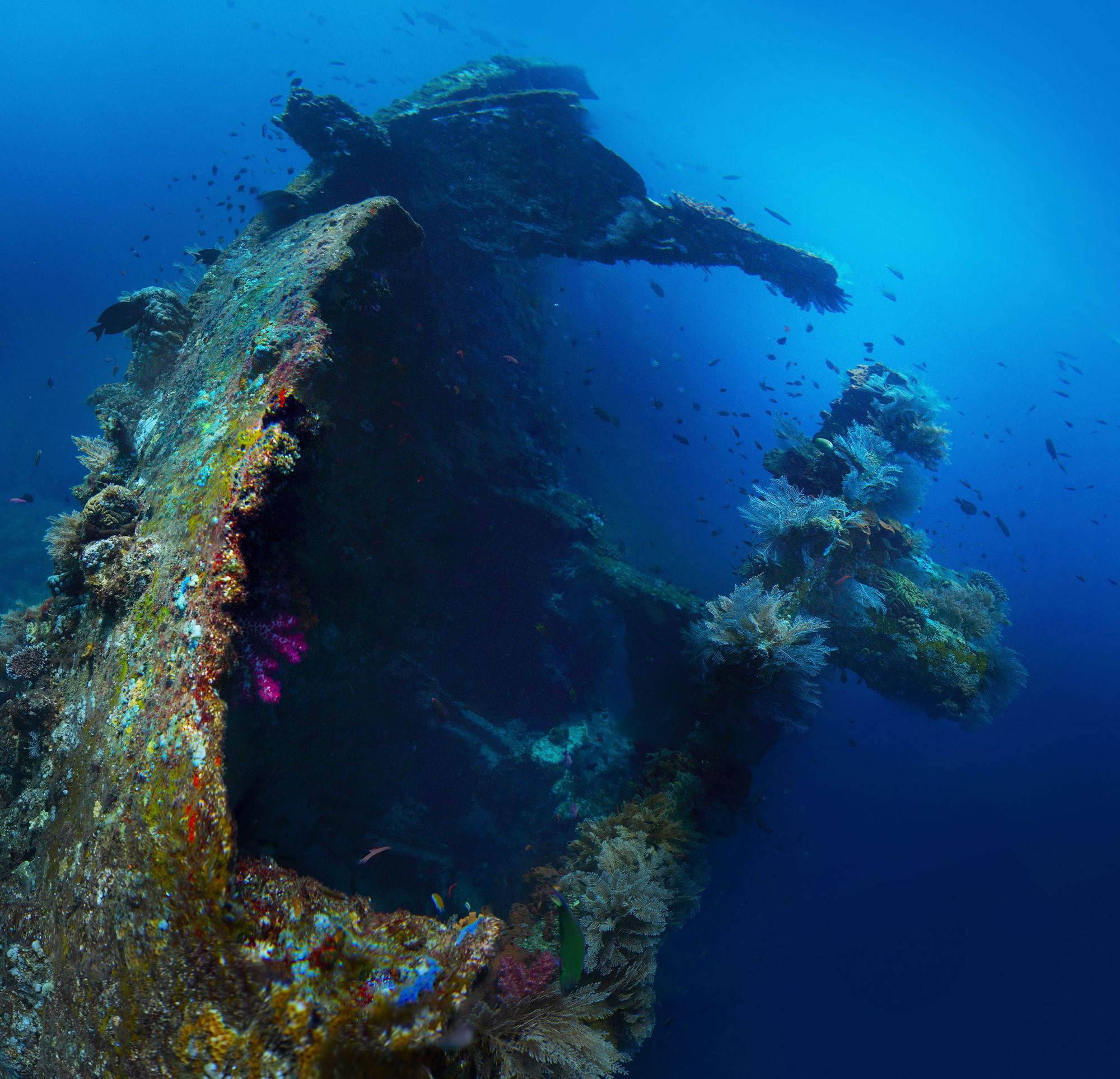 The USAT Liberty wreck in the waters beneath Tulamben, on Bali. Photo: Getty
