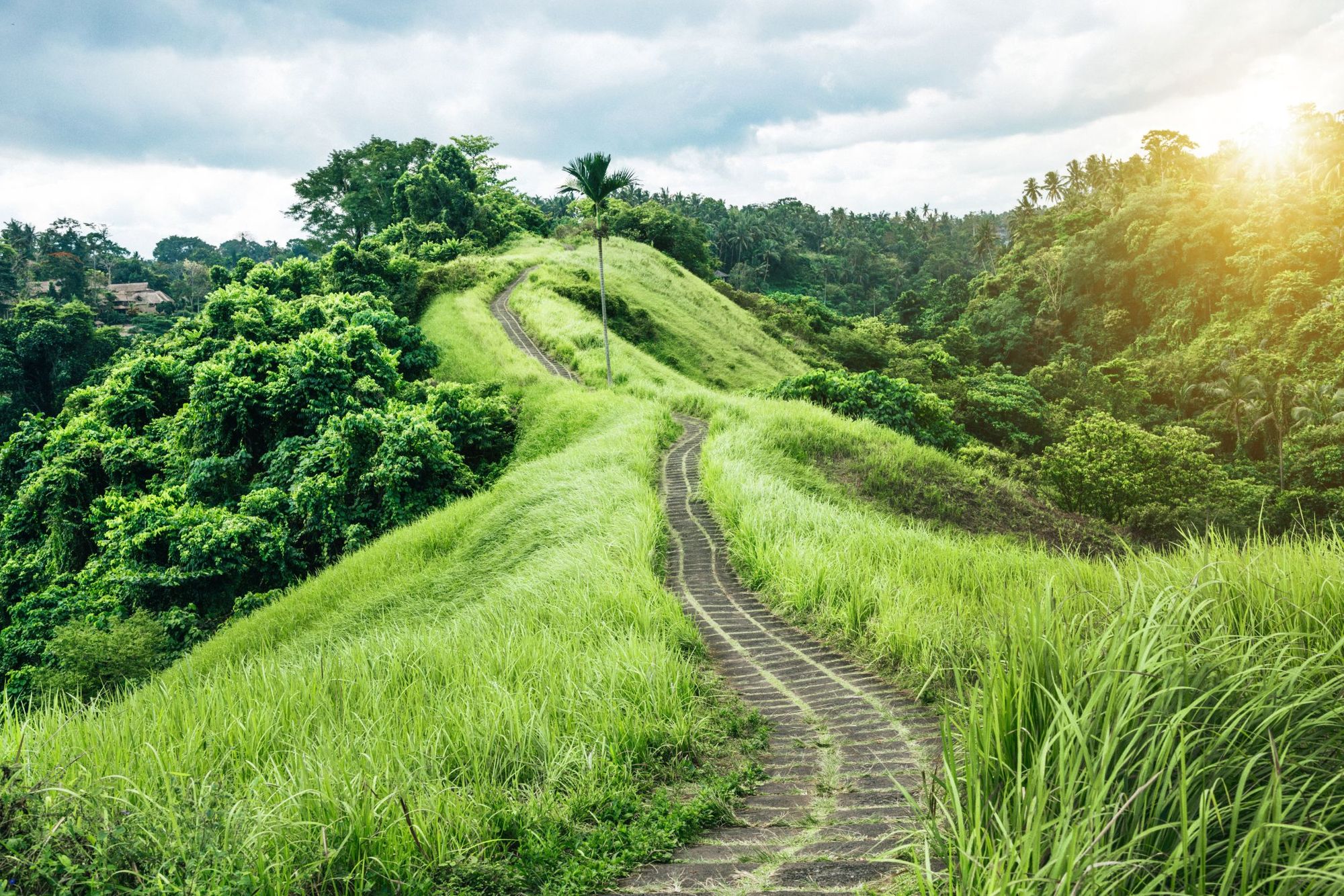 The scenic greenery of the Campuhan Ridge Walk, near Ubud, Bali. Photo: Getty