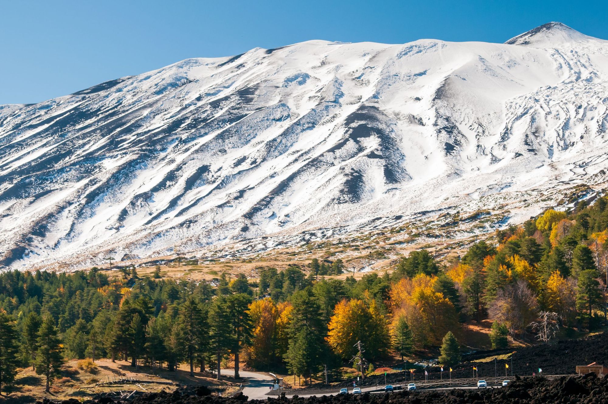A perspective of the northern side of Mount Etna, Sicily, and of a pine and beech wood in autumn. Photo: Getty