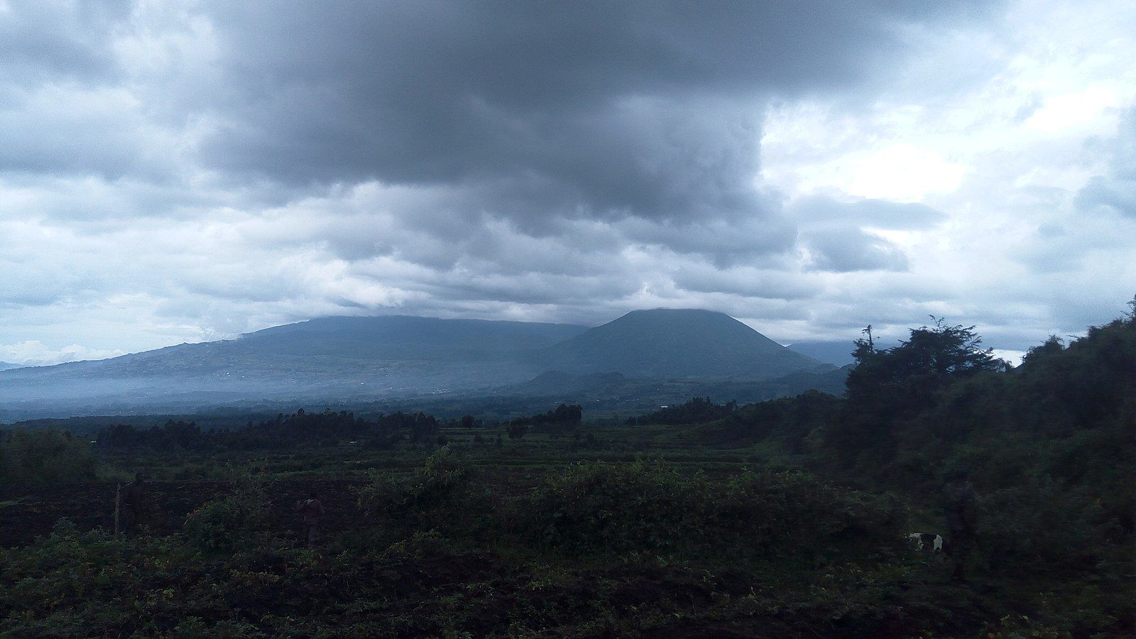 Mount Karisimbi (the flat-topped silhouette on the right), the highest volcano in Rwanda, on a typically cloudy morning. Photo: Wikimedia Commons.