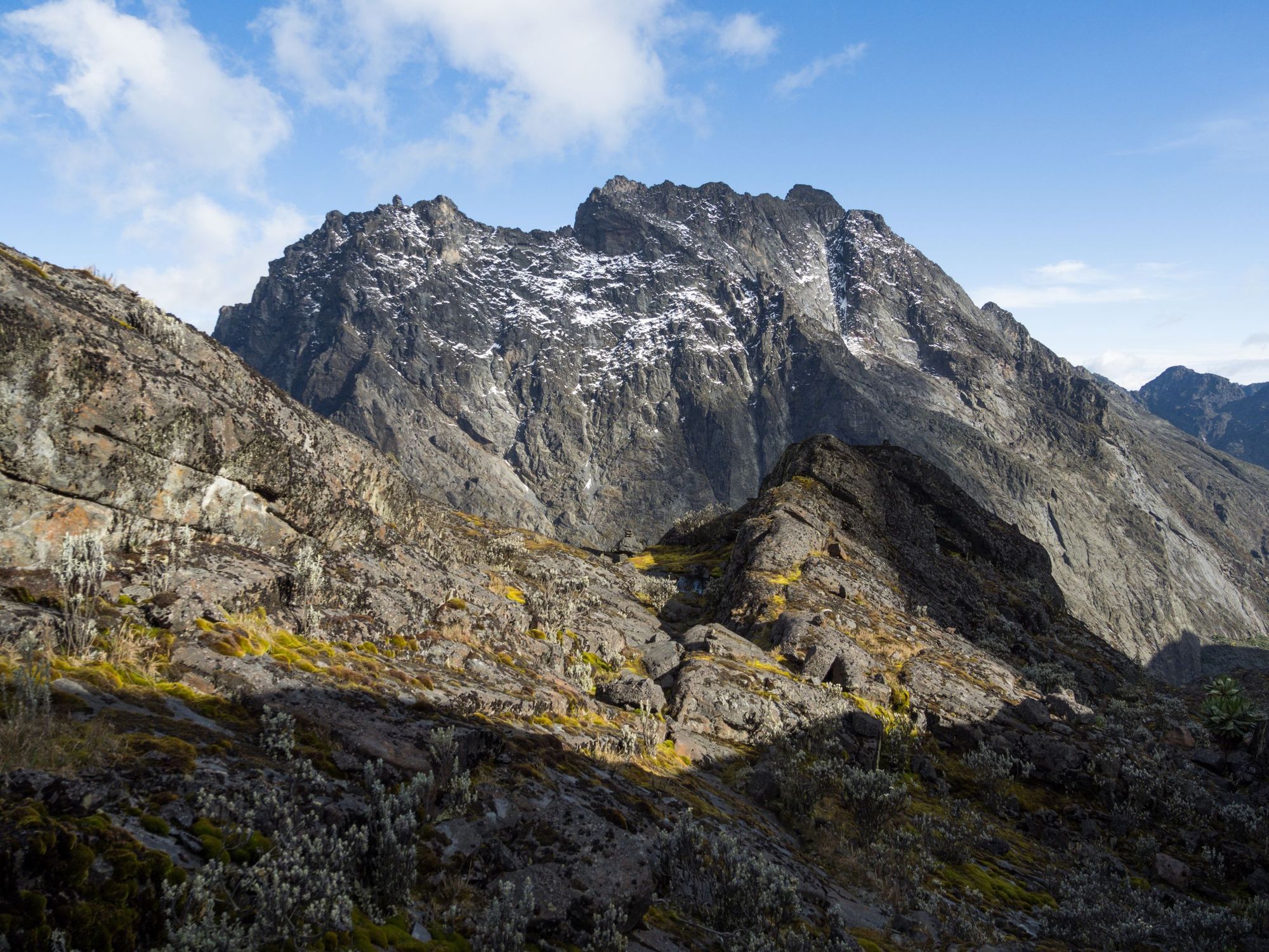 Mount Baker, Rwenzori Mountains, Uganda