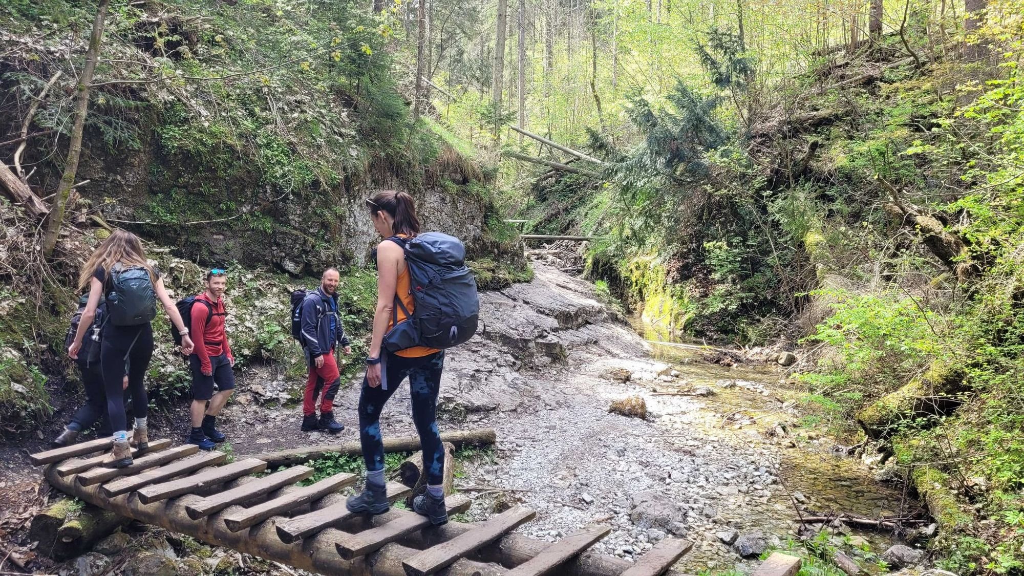 A horizontal ladder at the start of the Sucha Bela Gorge walk, in Slovak Paradise National Park, Slovakia