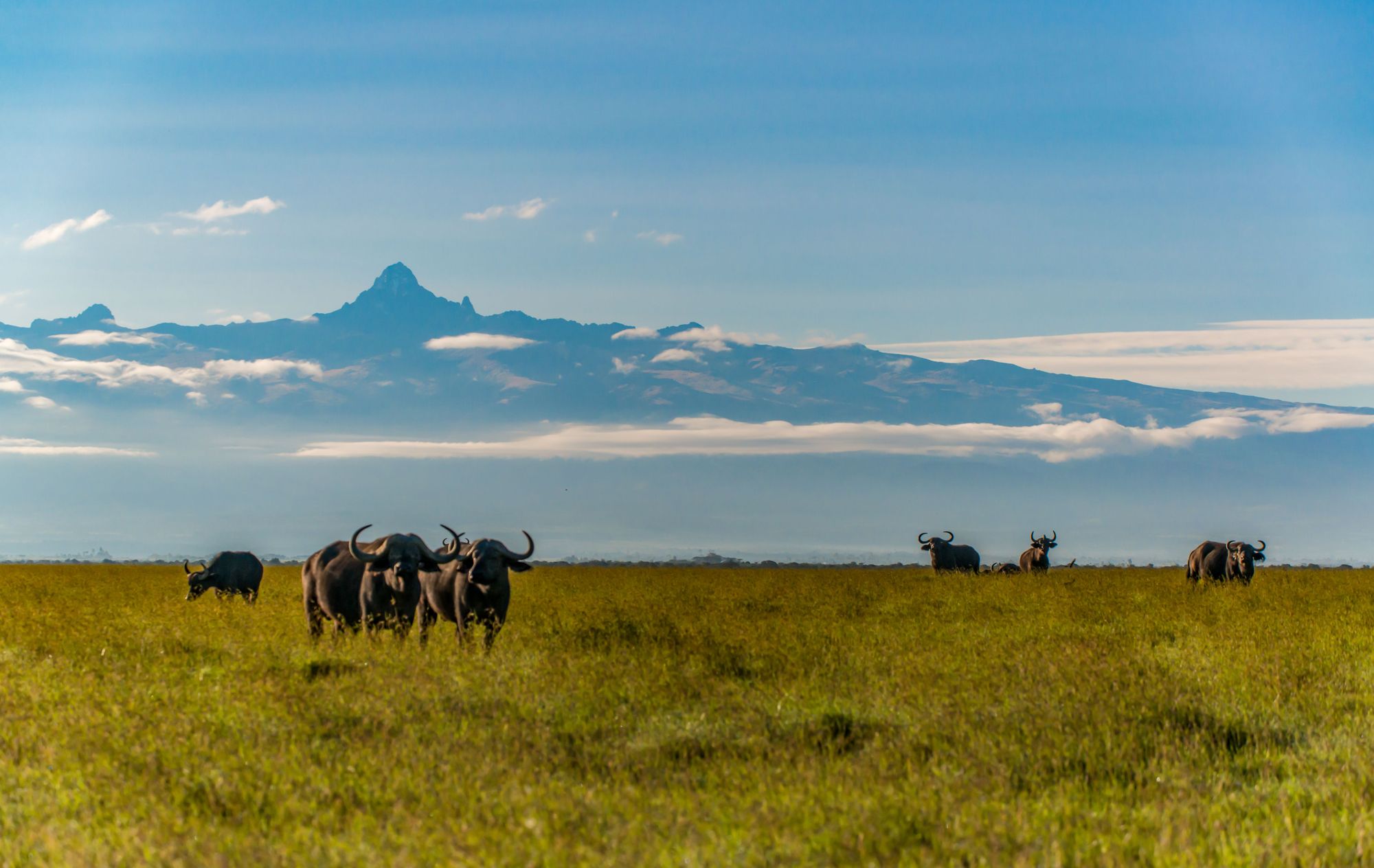 Mount Kenya as seen from Solio Ranch. Photo: Getty