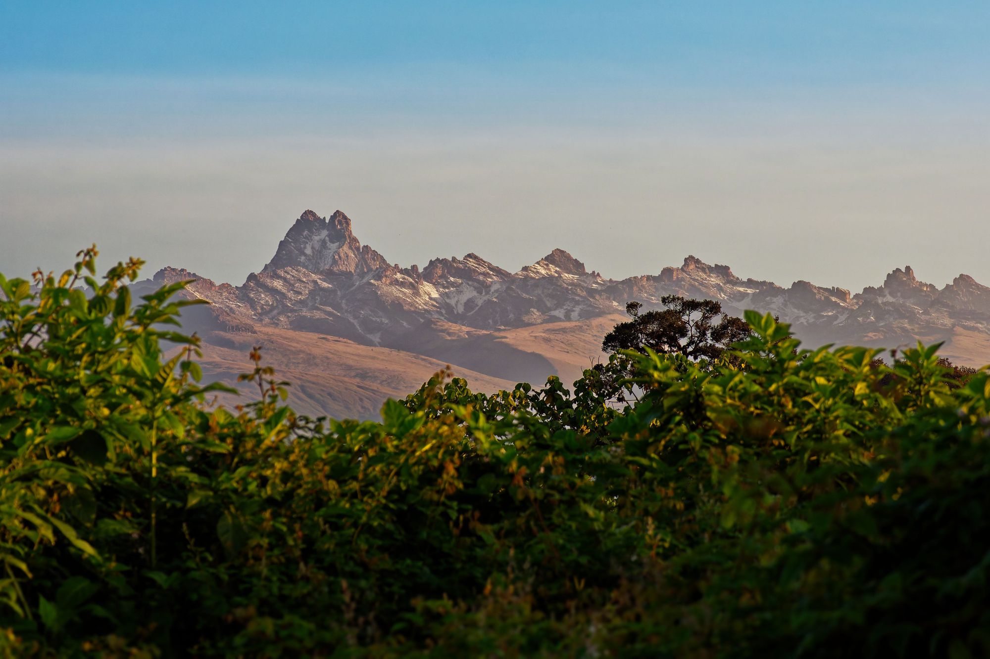 Montane cloud forest and green trees in the foreground, and the high peaks of Mount Kenya in the back. Photo: Getty