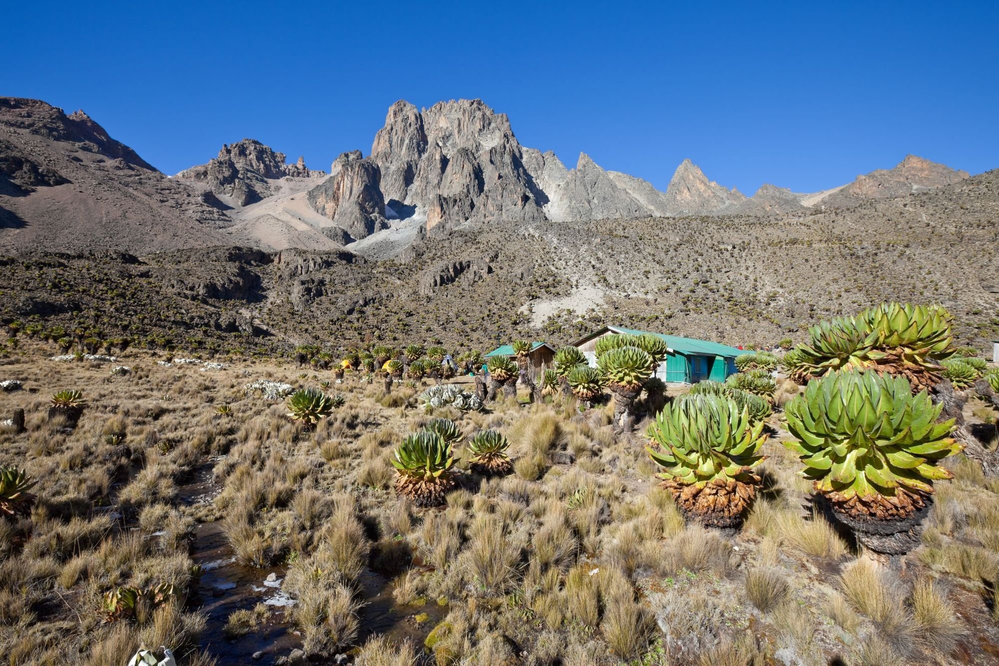 Shipton's Camp is located on the north side of Mt. Kenya, at an altitude of 4238m. Photo: Getty