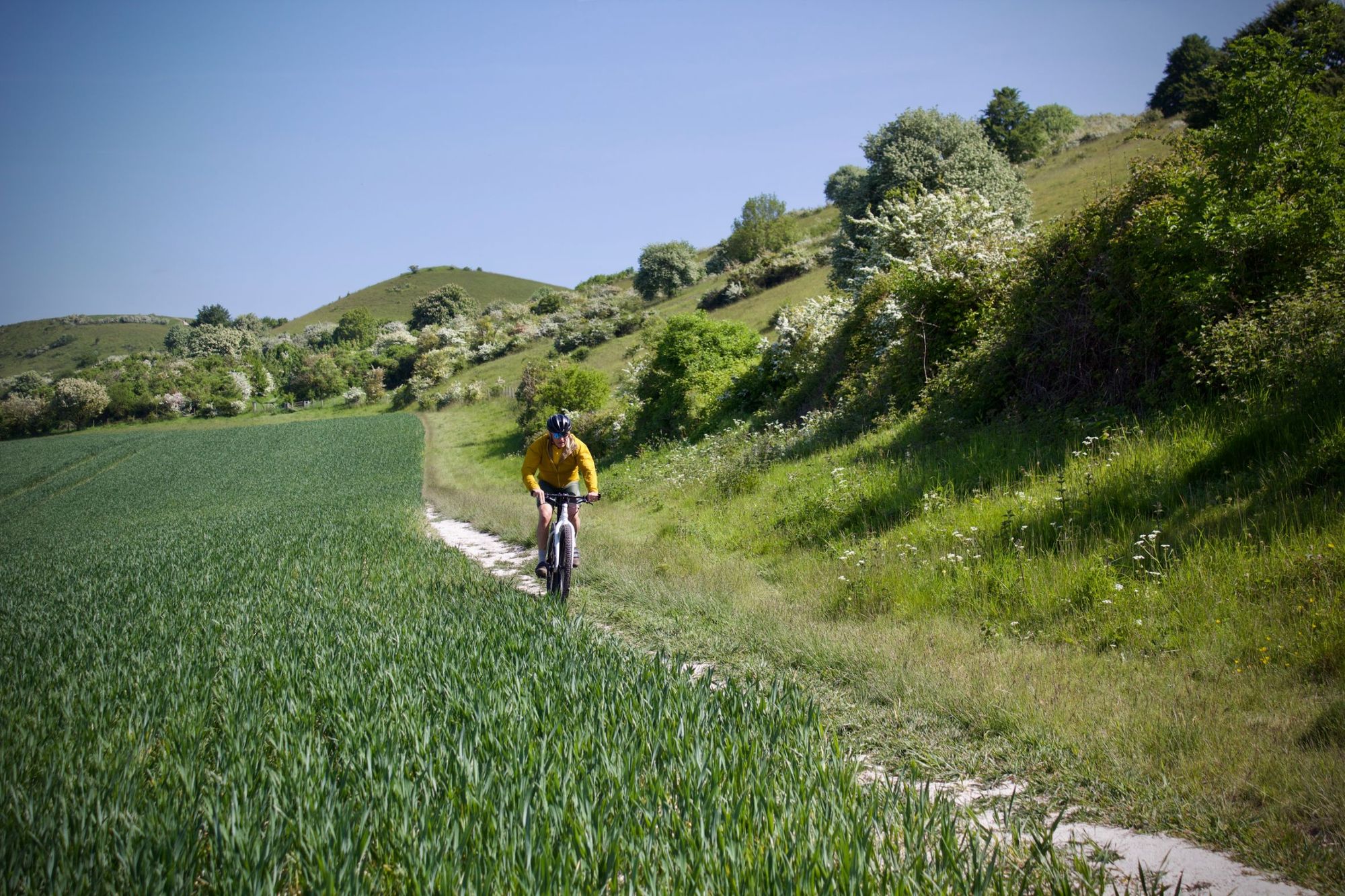 A cyclist in the Chiltern hills on a gravel bike