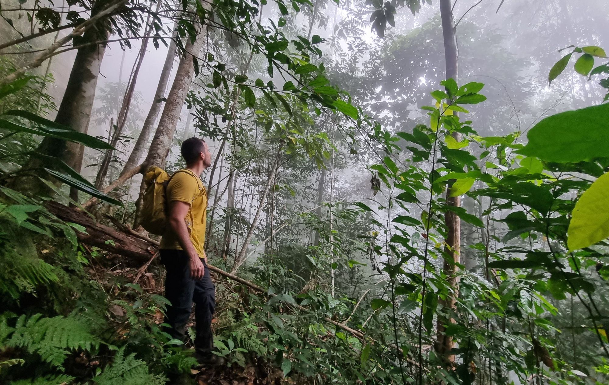 Obô Natural Park in Príncipe. Photo: Marta Marinelli