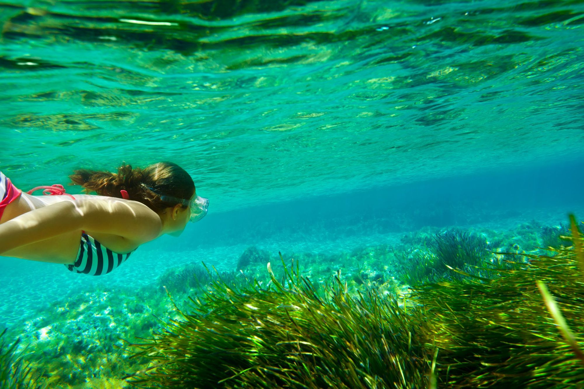 A woman snorkelling through a seagrass meadow in Menorca. Photo: Getty.