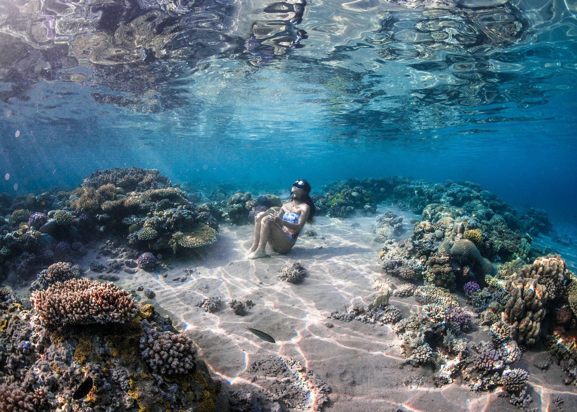 A woman sitting underwater, surrounded by a coral reef.