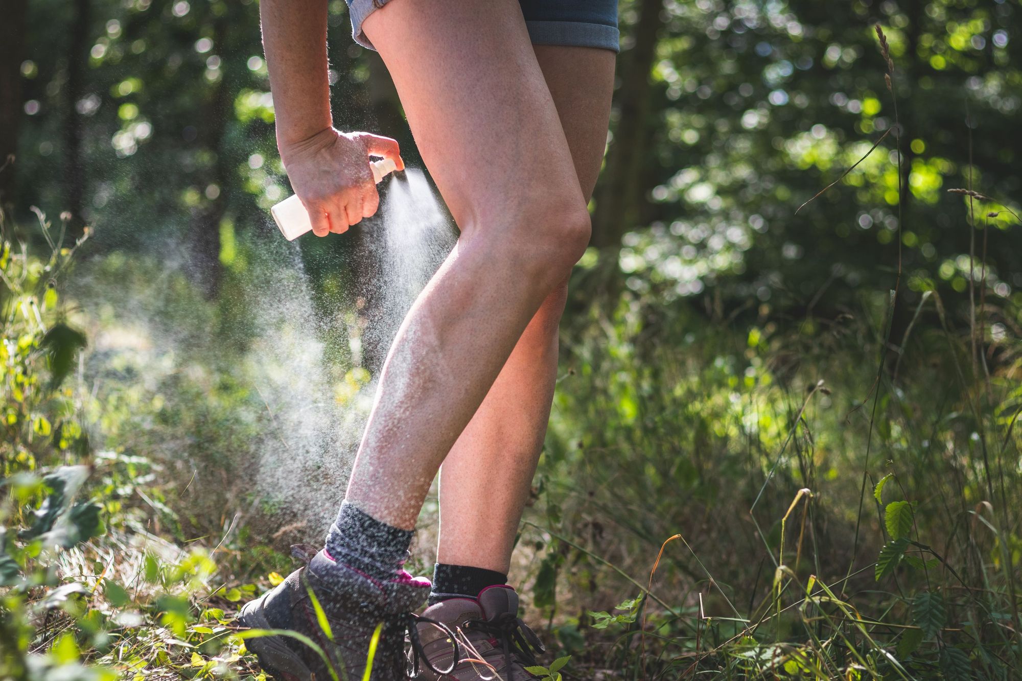 A hiker uses insect repellent to try and fend off ticks. Photo: Getty