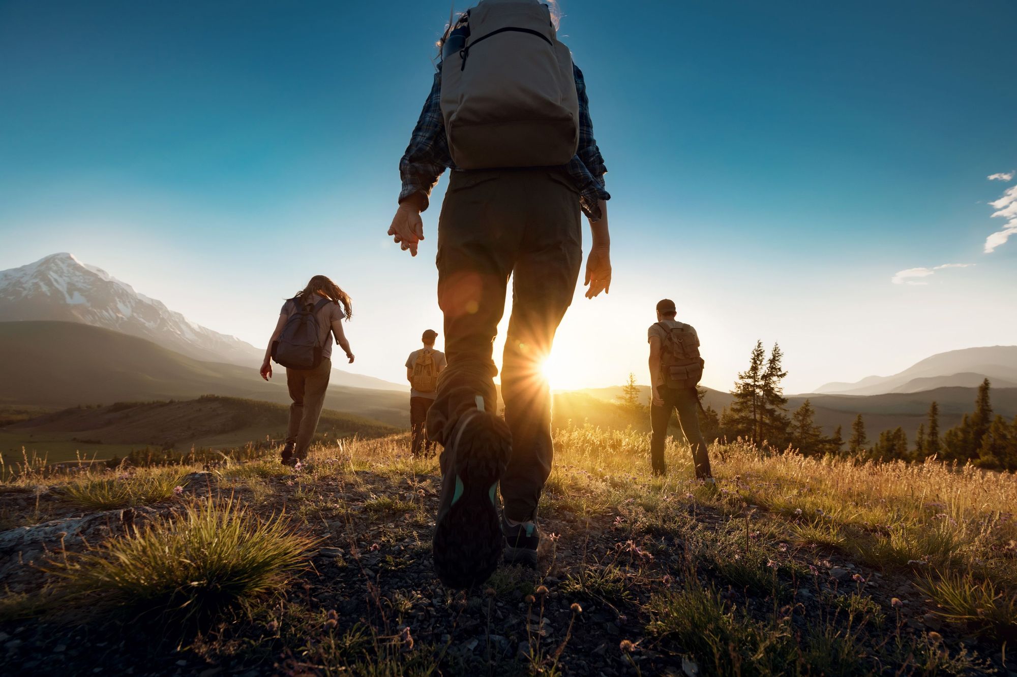 Four hikers make their way through a grassland in Europe.