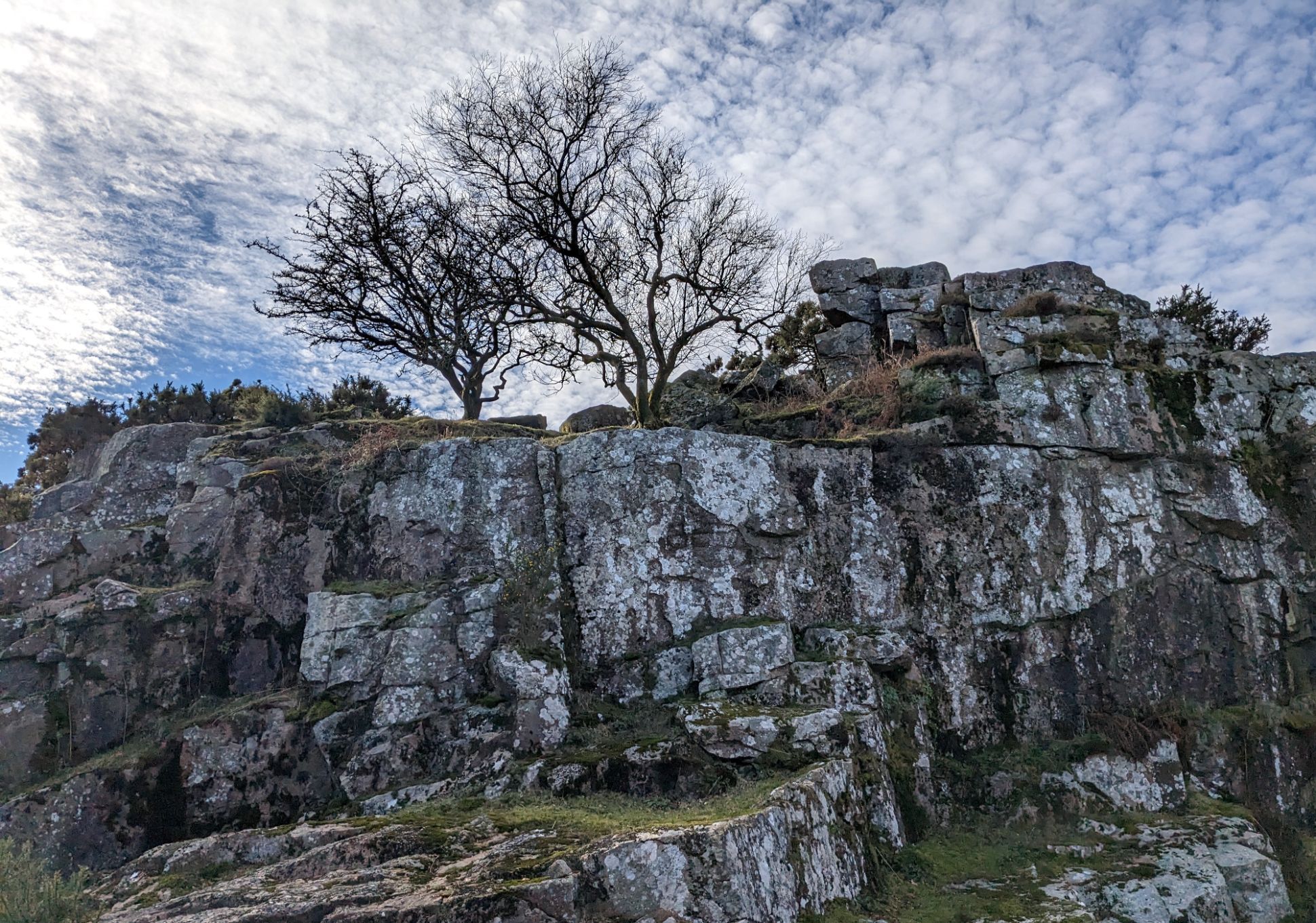 Granite rock near Burrator Reservoir, in Dartmoor National Park