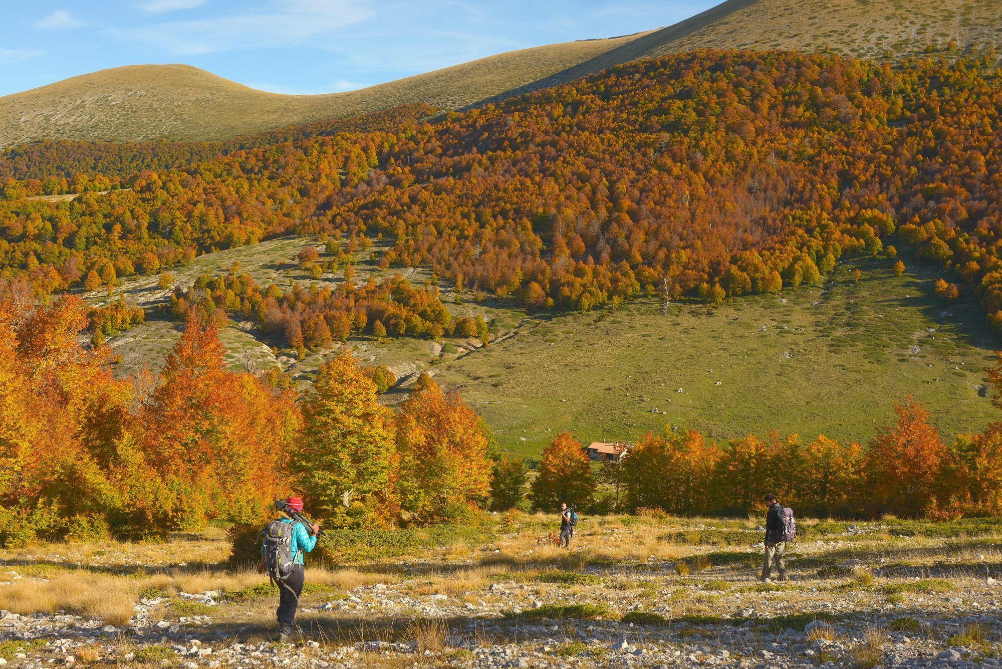 The Autumnal forests which surround Rifugio Terraegna, which sits at the bottom of the valley. Photo: Wildlife Adventures