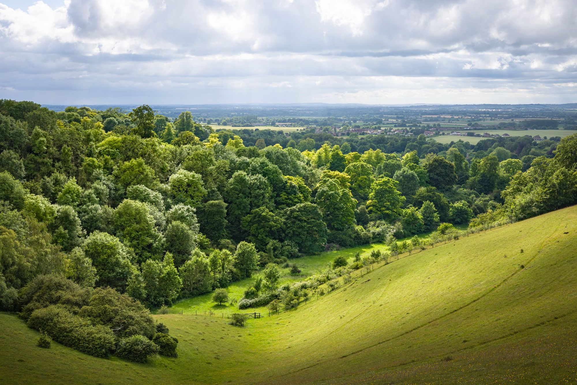 Chiltern Hills, near London.