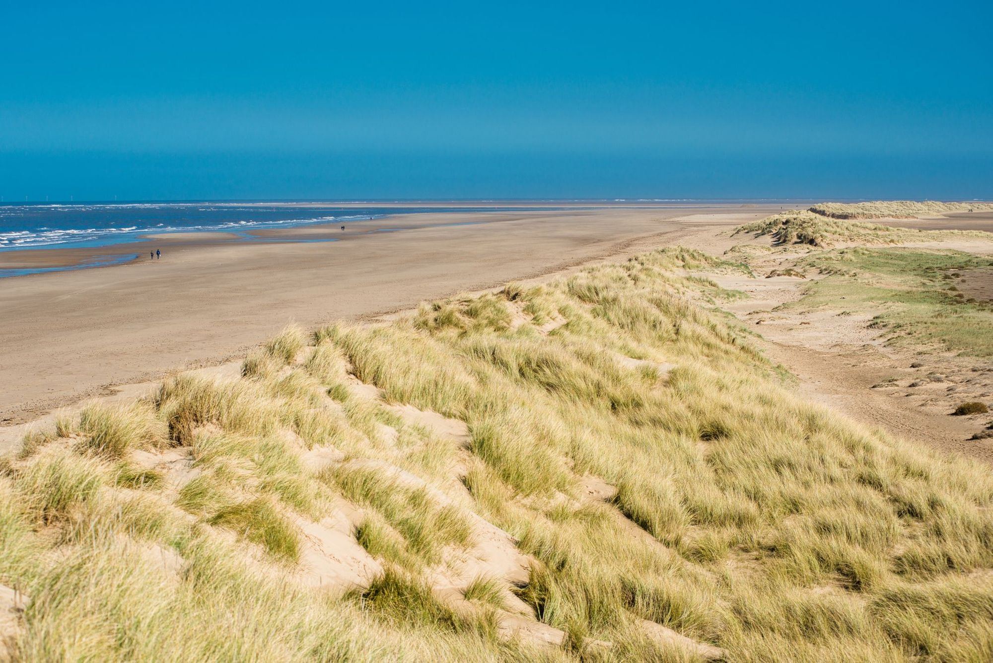 The dunes running alongside vast Holkham Beach, on England's North Norfolk Coast