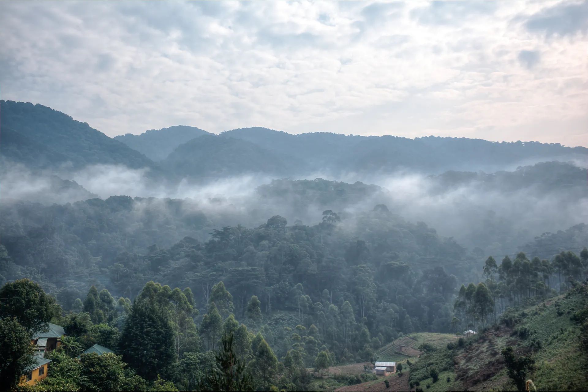 View from a community-run lodge in Bwindi Impenetrable Forest. Mbogo Africa Safaris