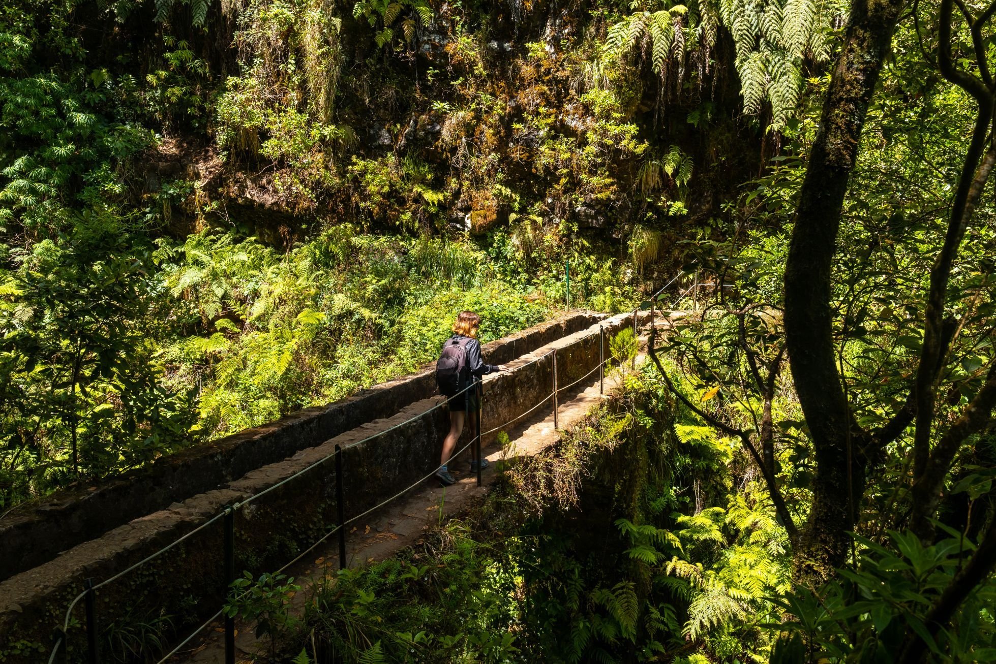 The lush greenery visible on the Levada do Caldeirão Verde walk. Photo: Getty