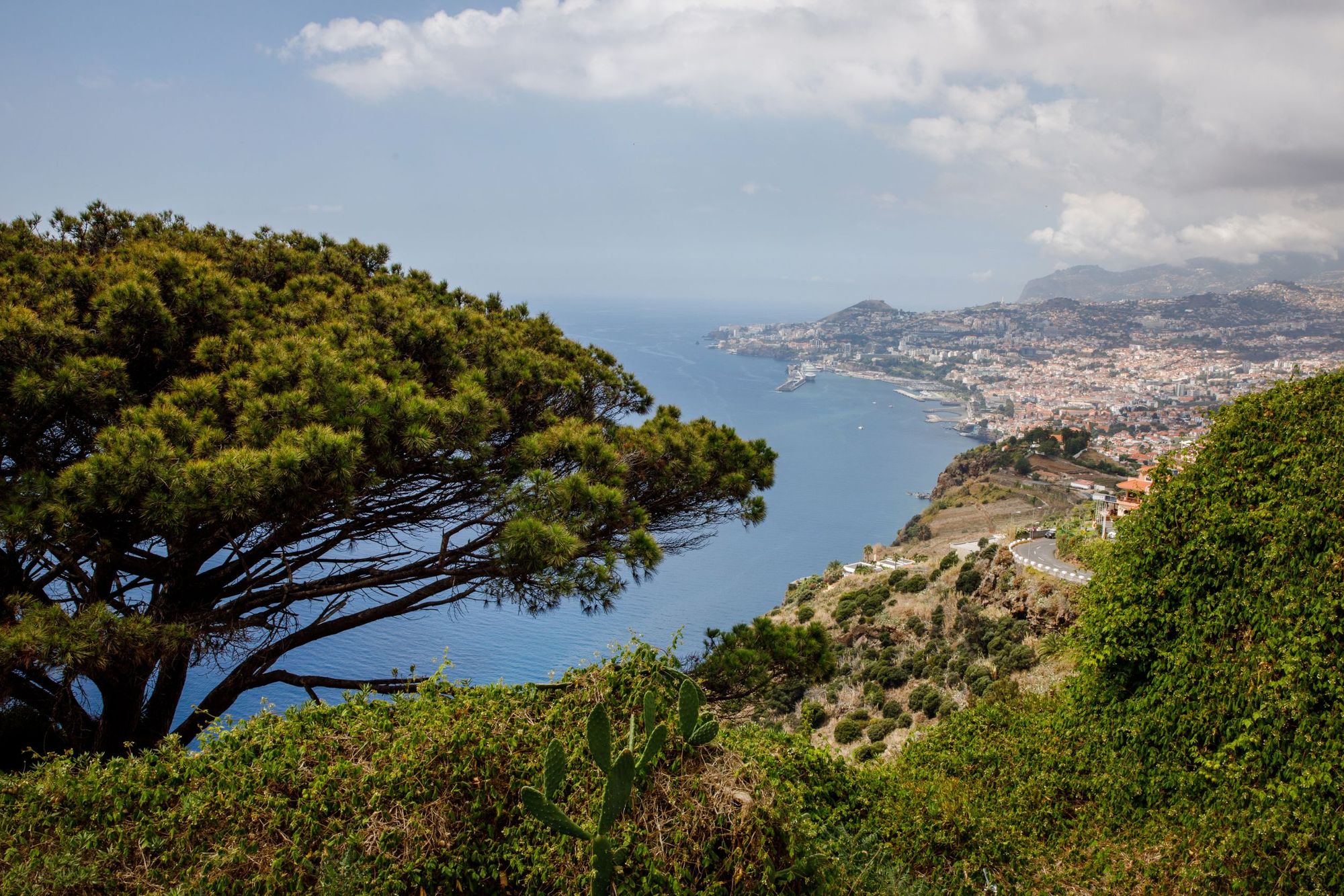 An example view of Funchal (not taken from the PR4 route). Photo: Getty