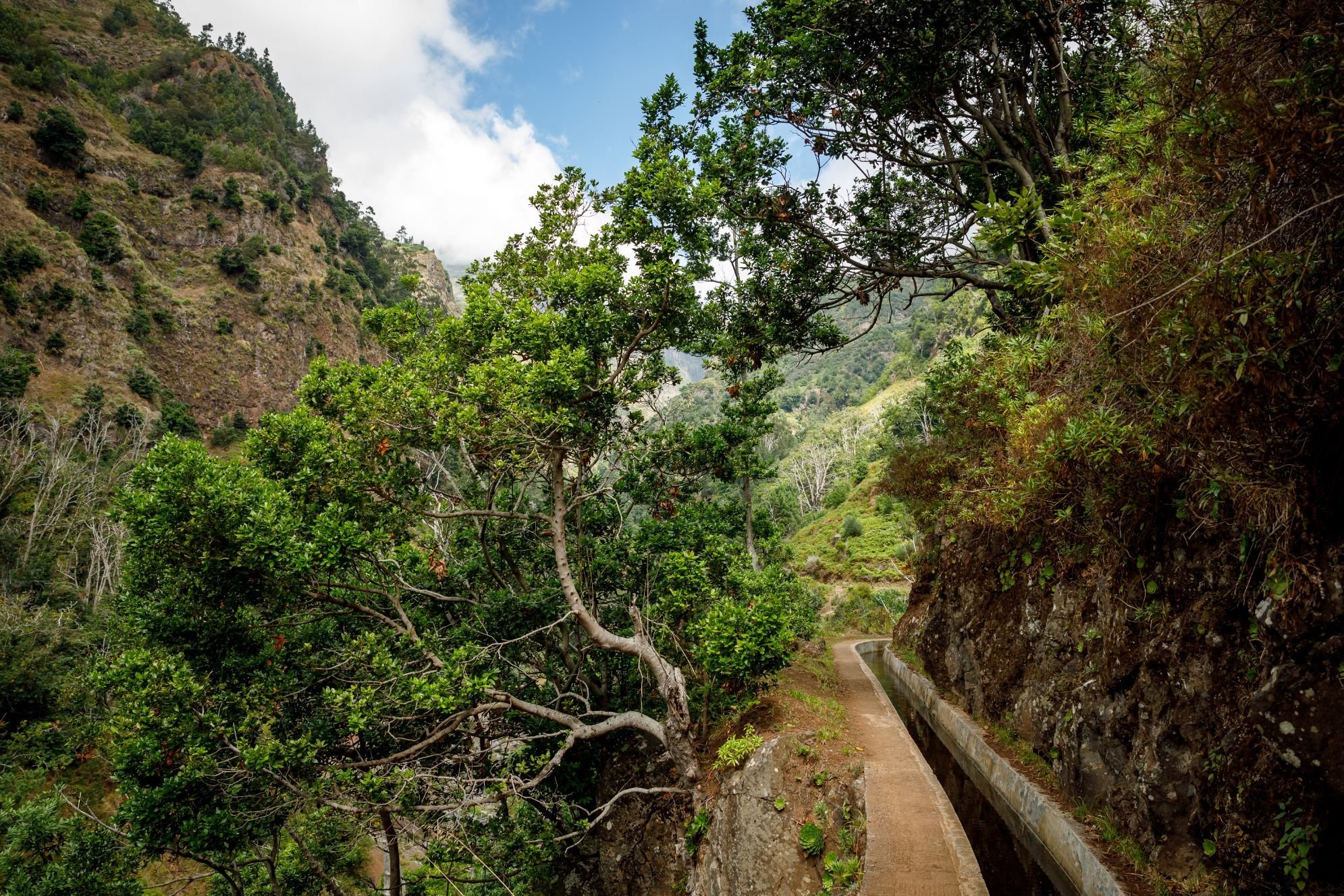 A levada in Madeira, Portugal, creeps around a corner and out of sight. Photo: Getty