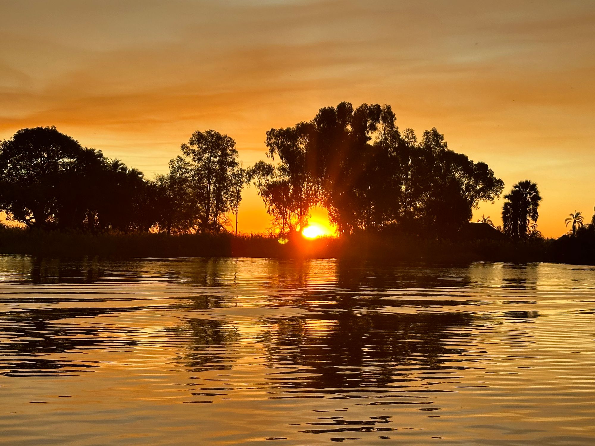 Sunset over the water in Botswana, with the silhouette of trees.