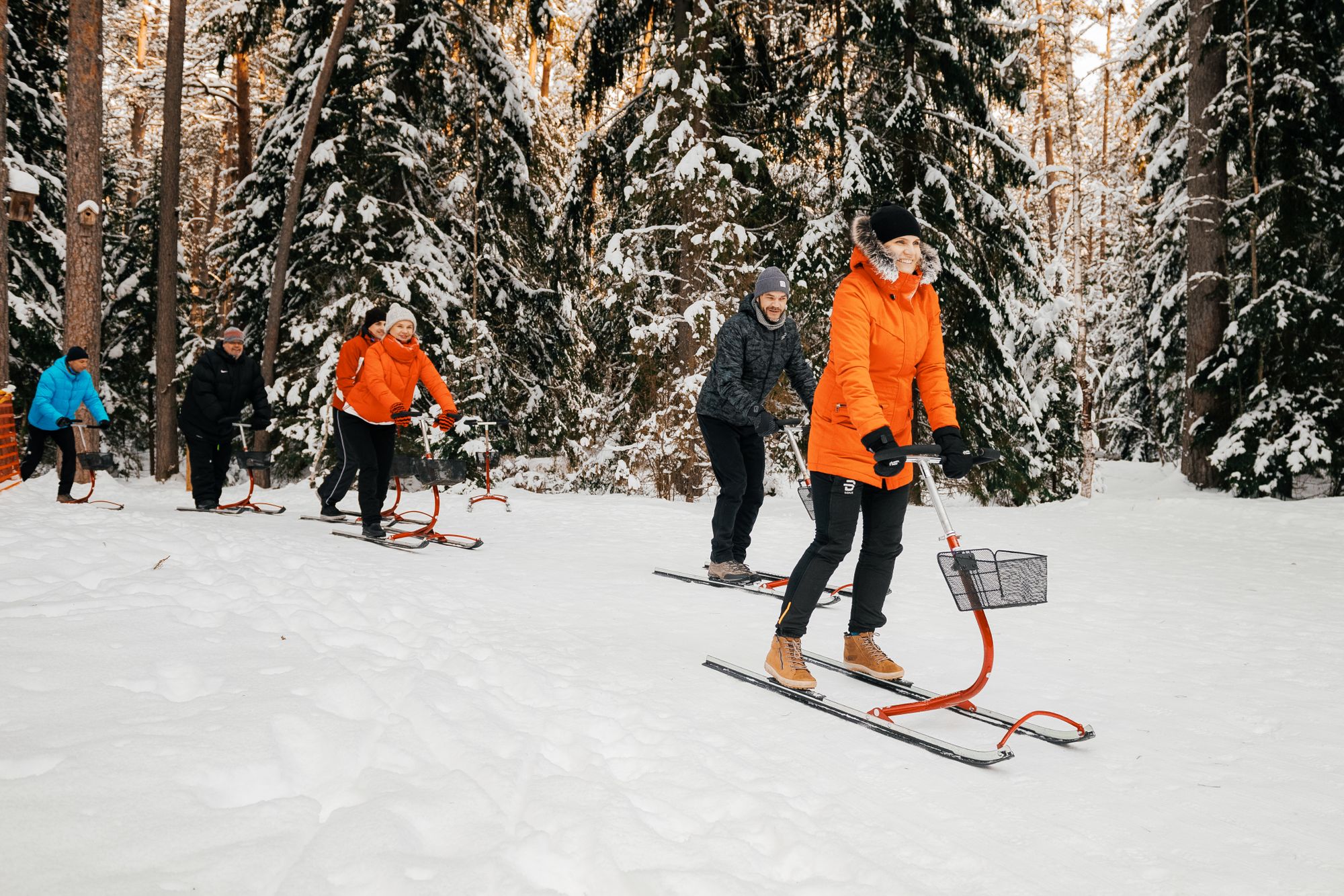 People gliding across the snow, backed by forest, on kicksleds in Estonia.