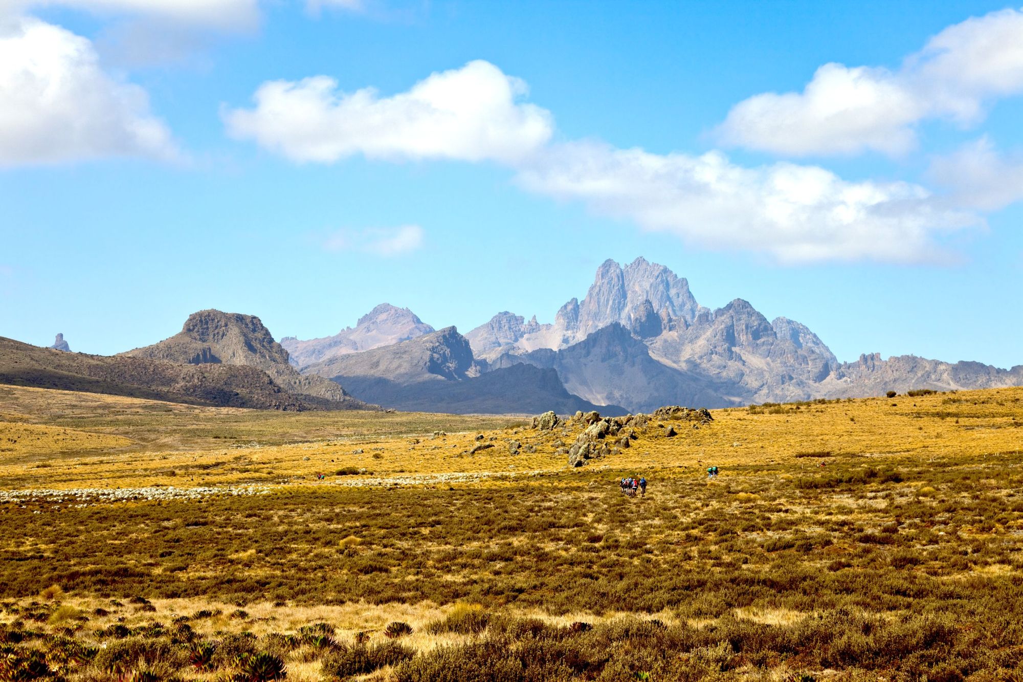 Three people watching a herd of rhino on foot in South Africa.