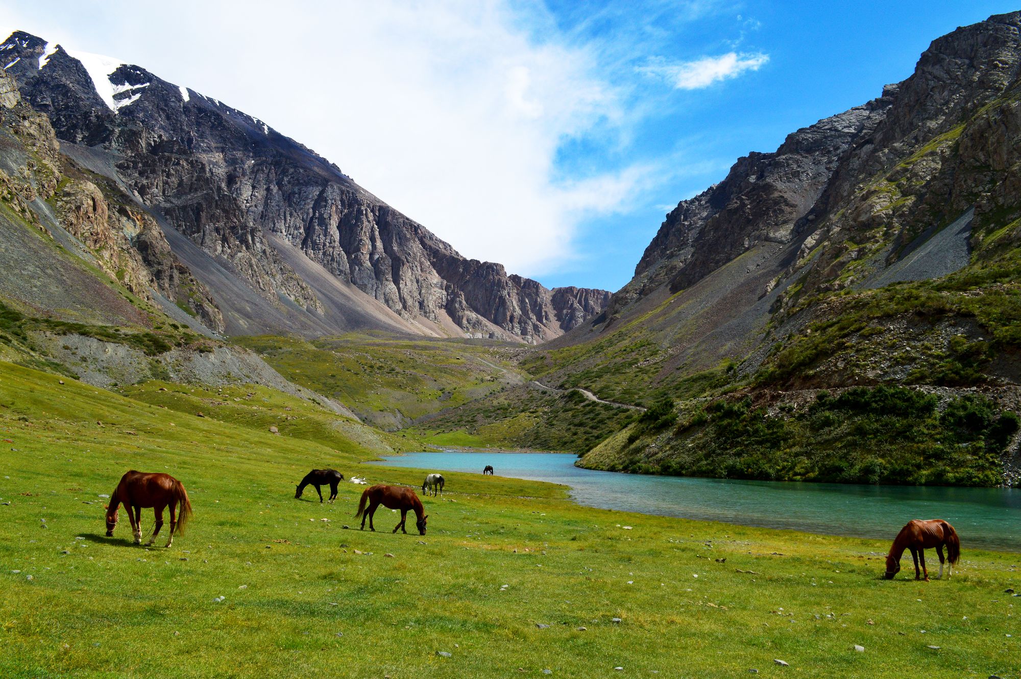 Horses by the river, backed by snow-capped mountains, in Kyrgyzstan.