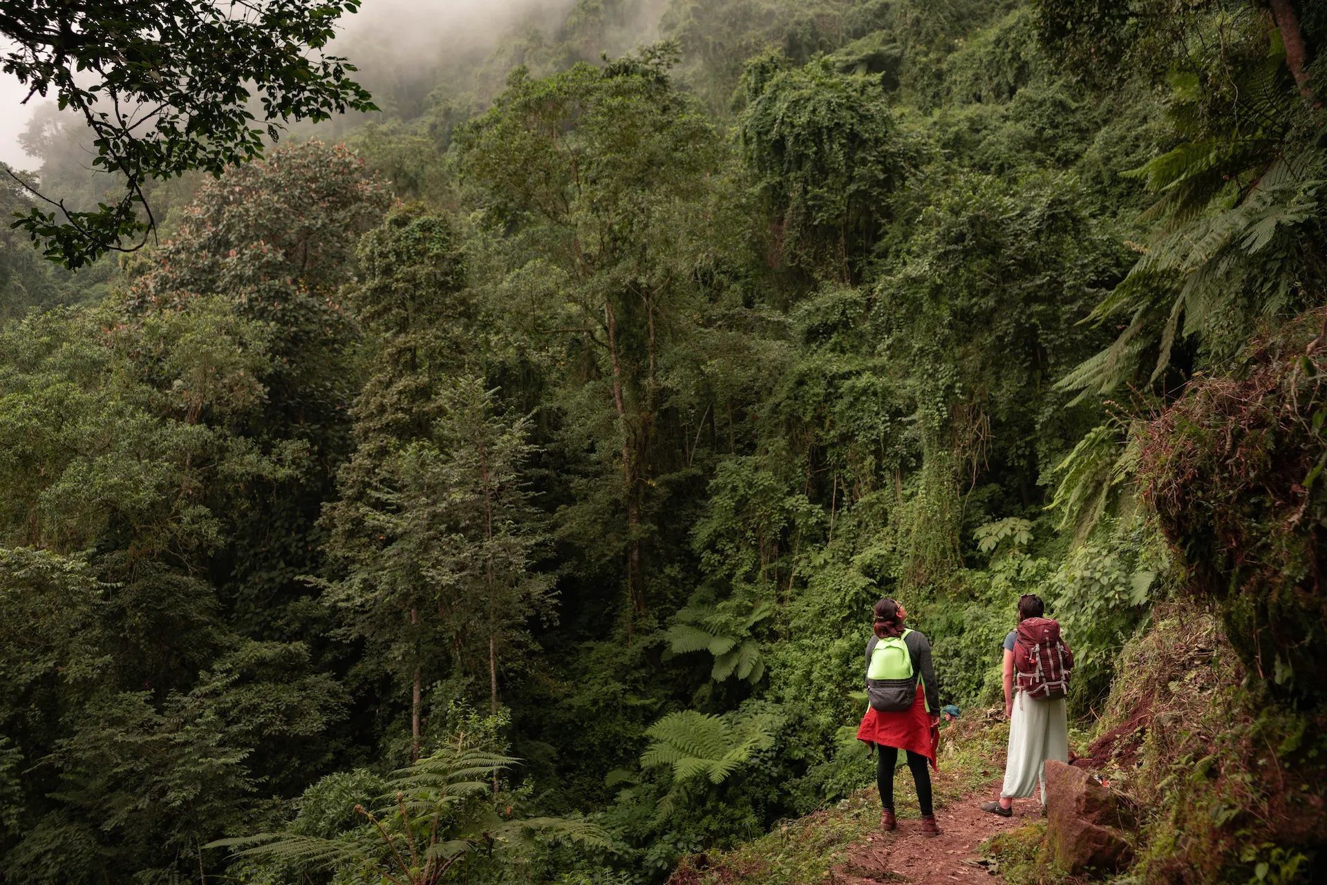 Hikers in the Nahá Reserve, Mexico
