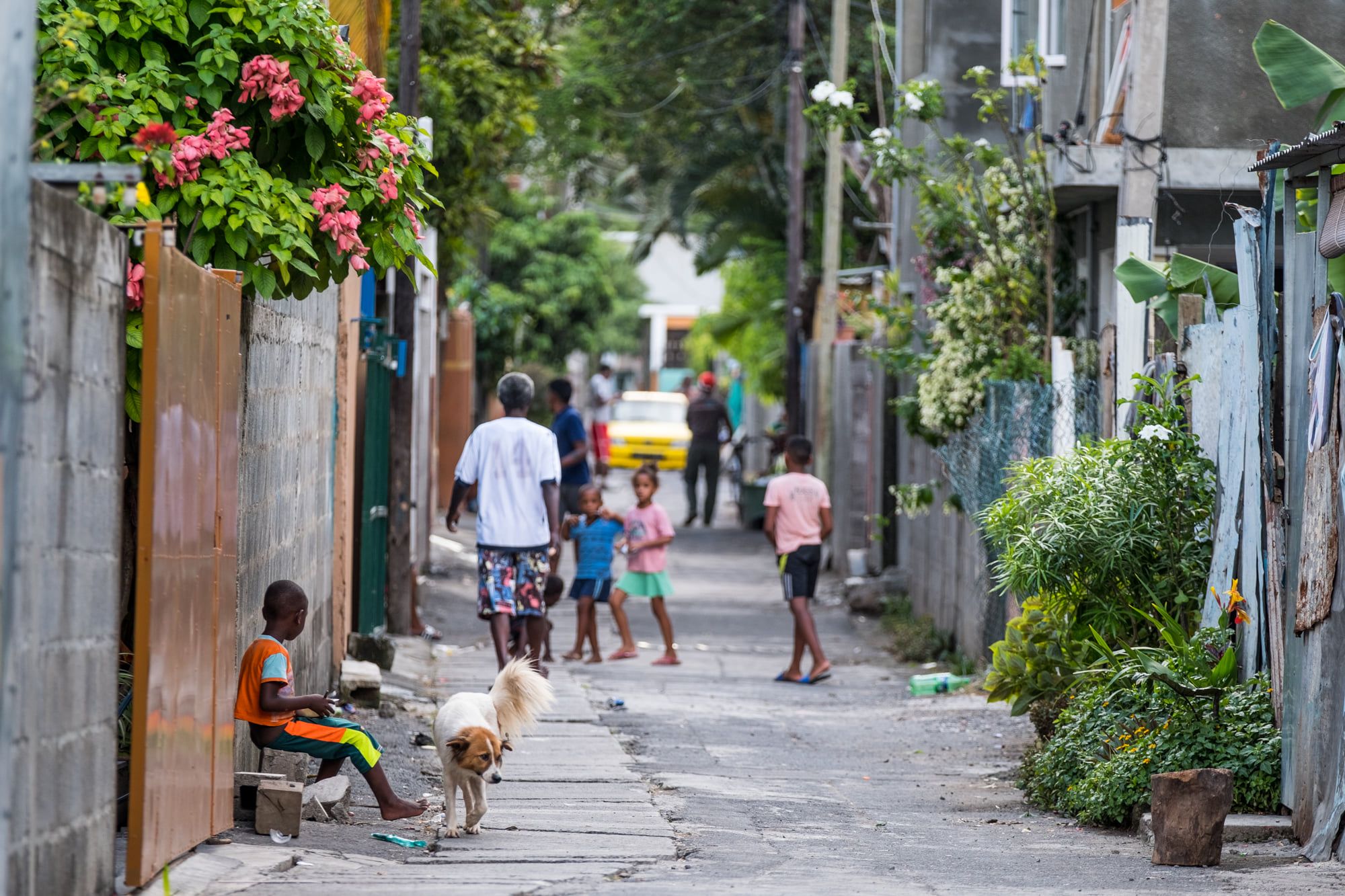 Children and a dog on a street in Mauritius. Photo: Mauritius Conscious.